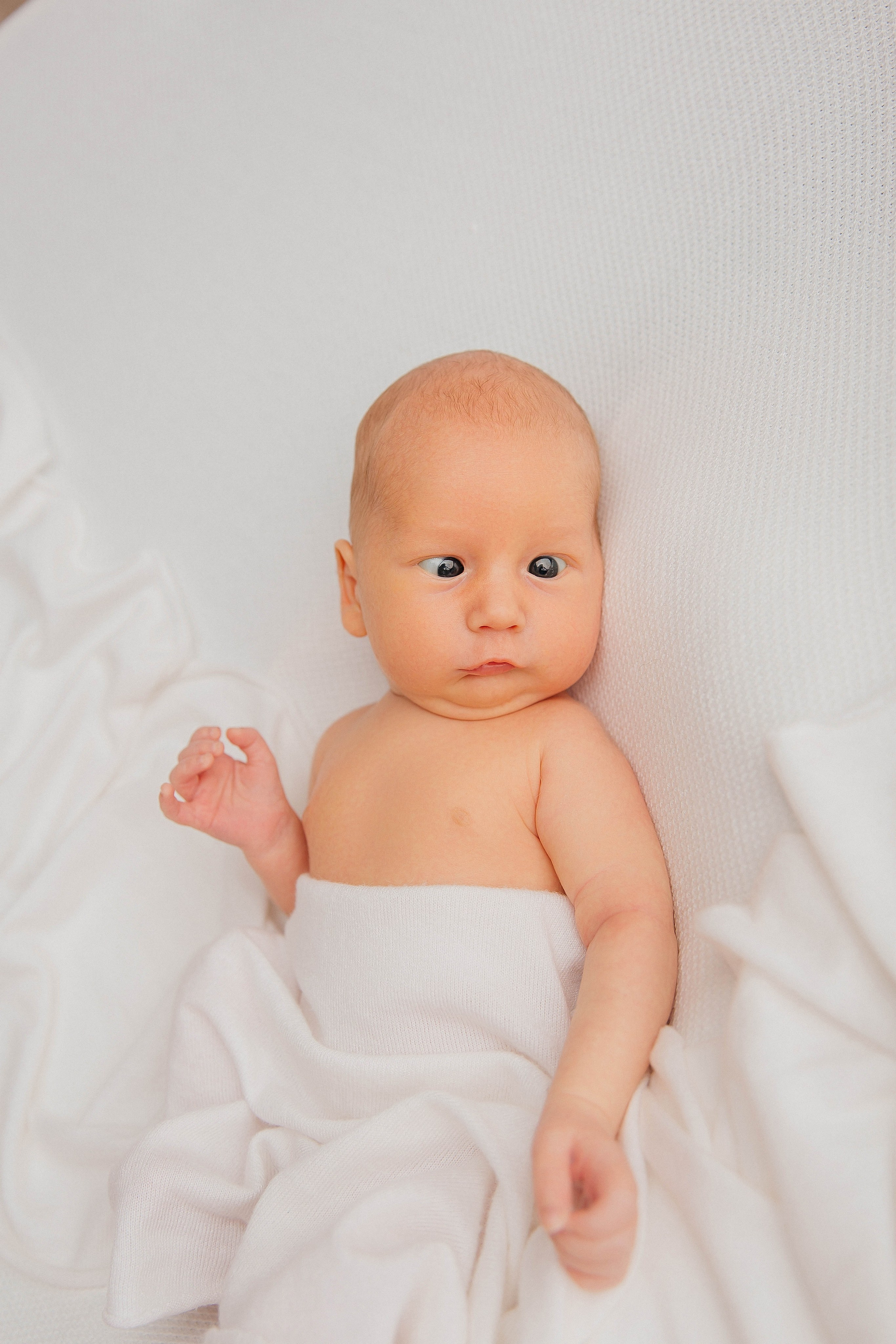 Лев. Фотограф новорожденных Тверь Диана Муляева