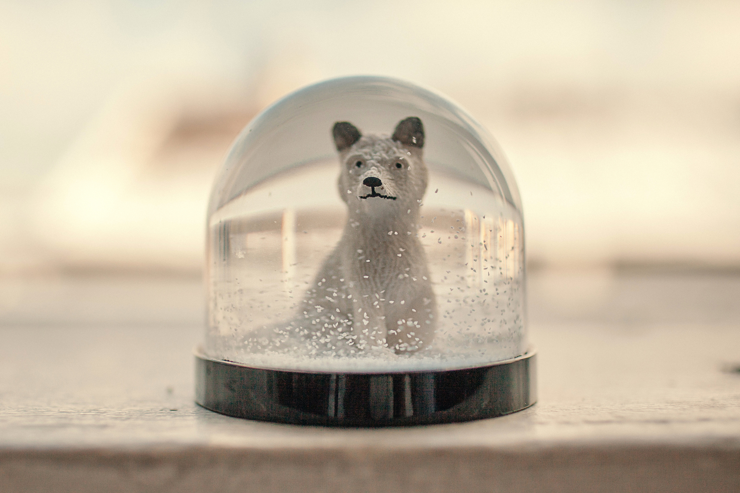 Детский день рождения. Детский и семейный фотограф Муксимова Ирина