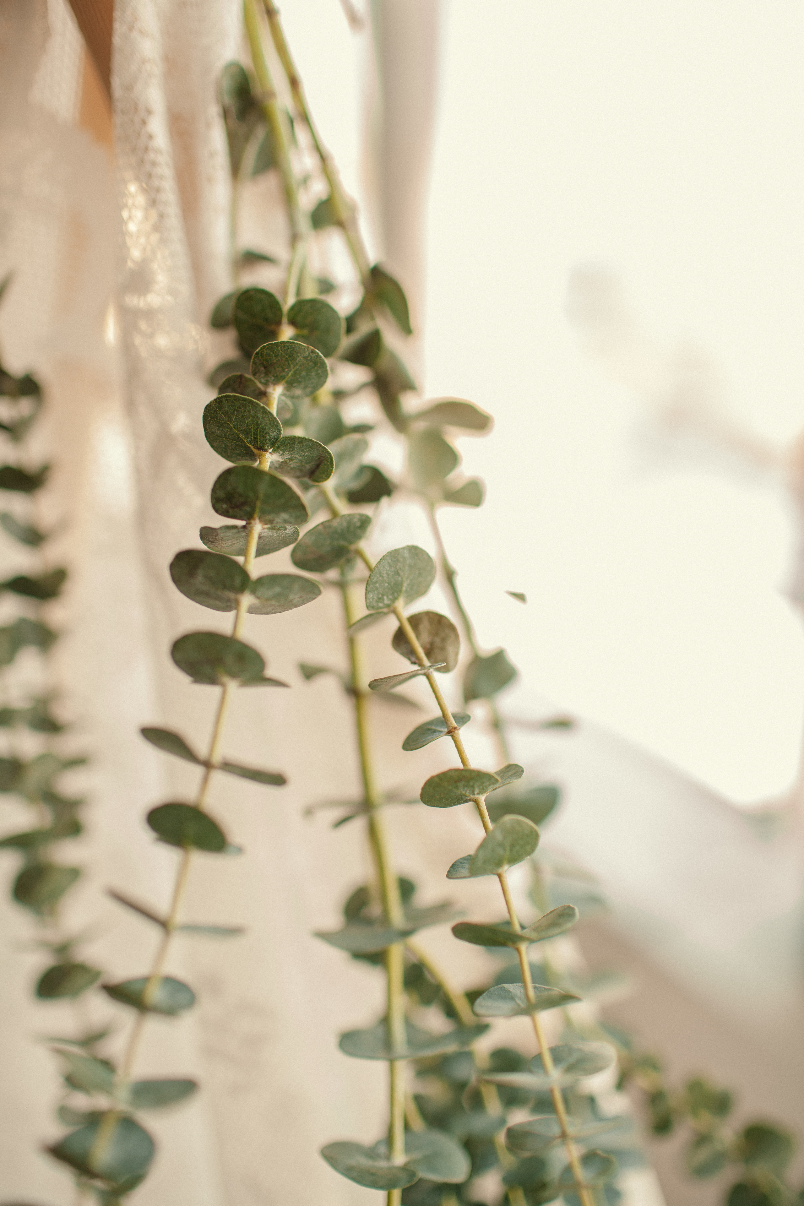 Детский день рождения. Детский и семейный фотограф Муксимова Ирина