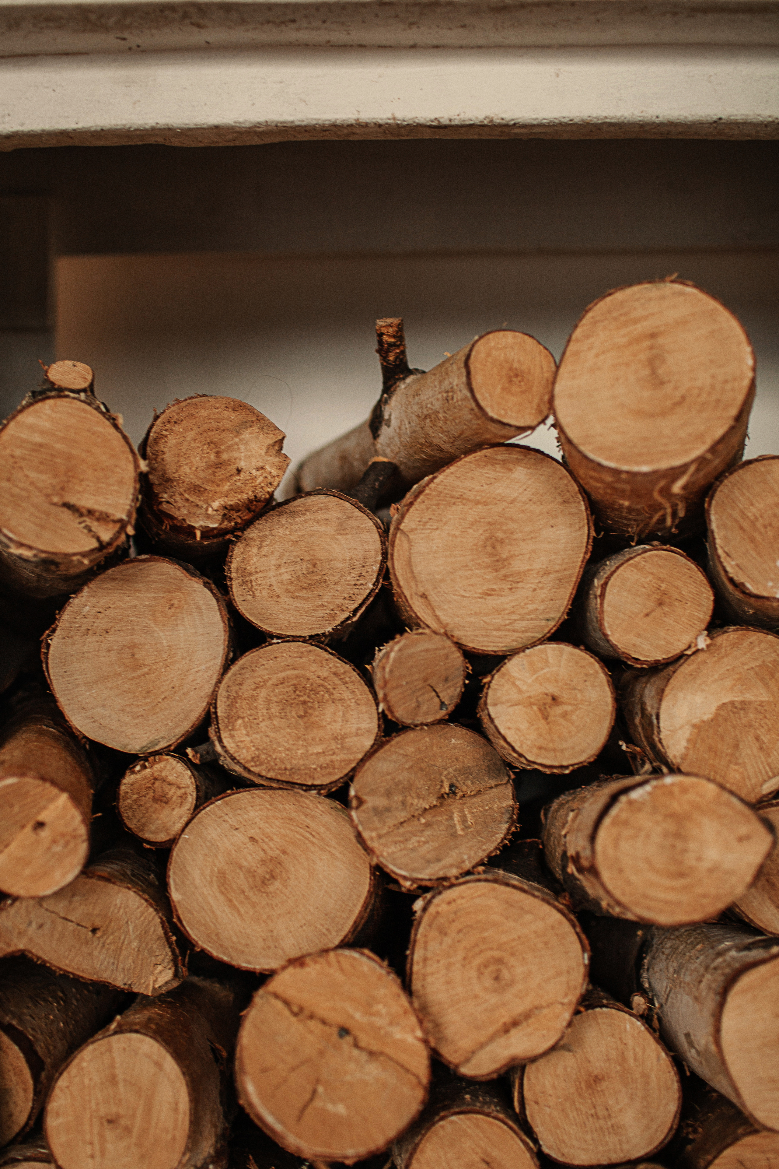 Детский день рождения. Детский и семейный фотограф Муксимова Ирина