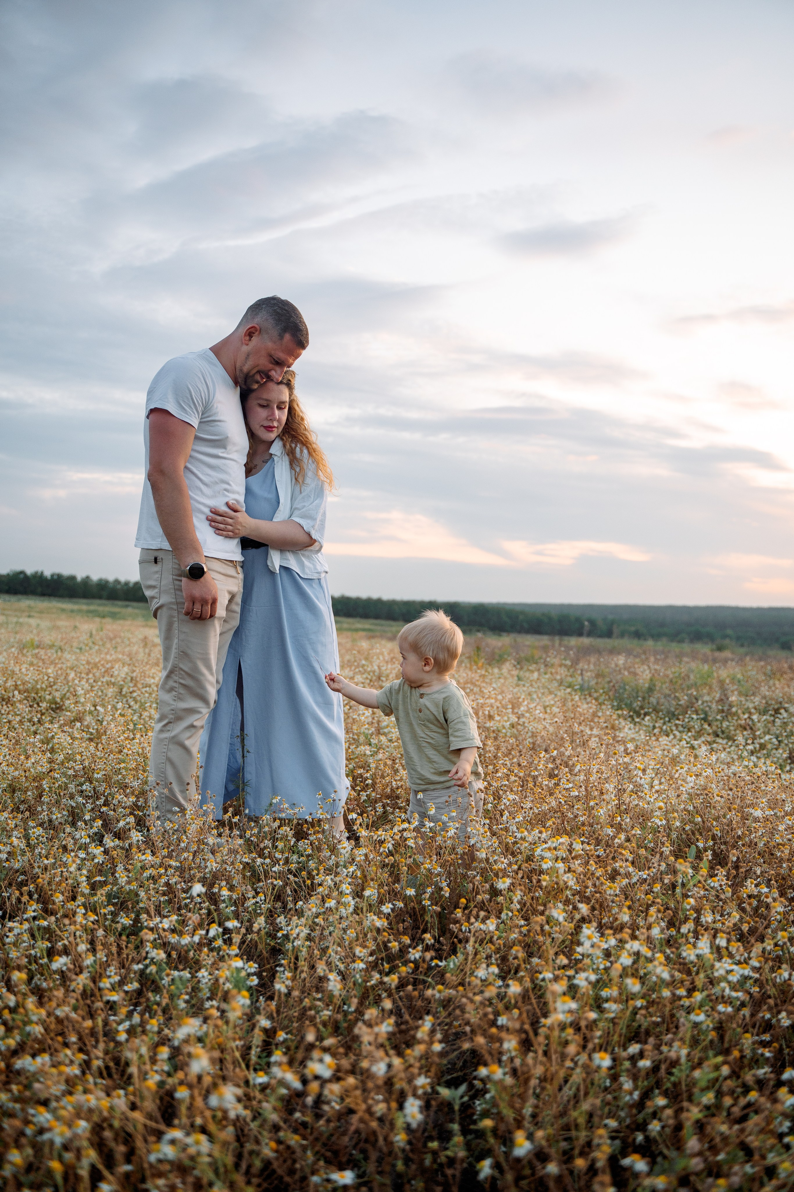 РОМАШКИ. Фотограф Мария Зайчик