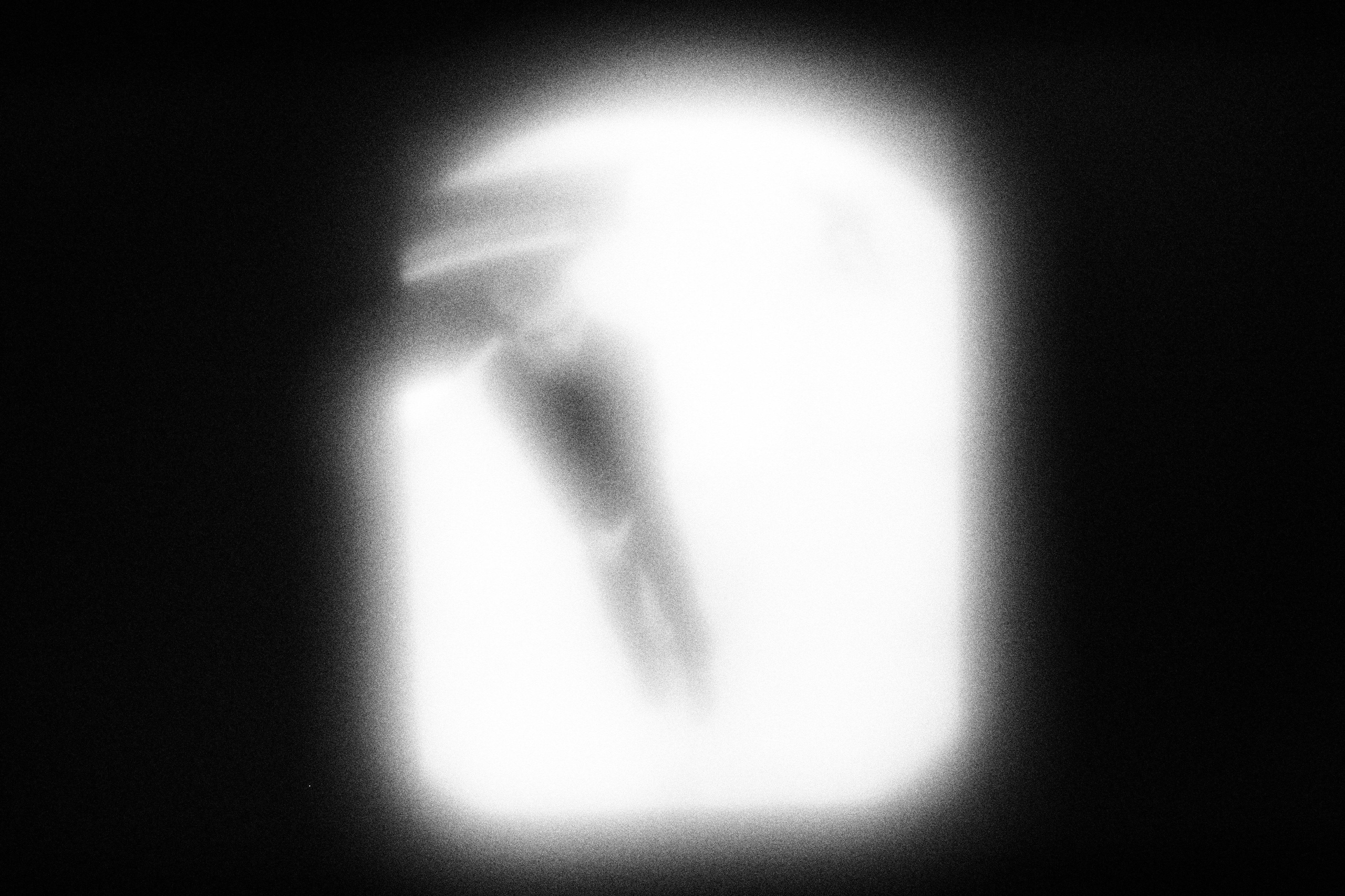 Маленькие искусства и я, Полина Шадрина