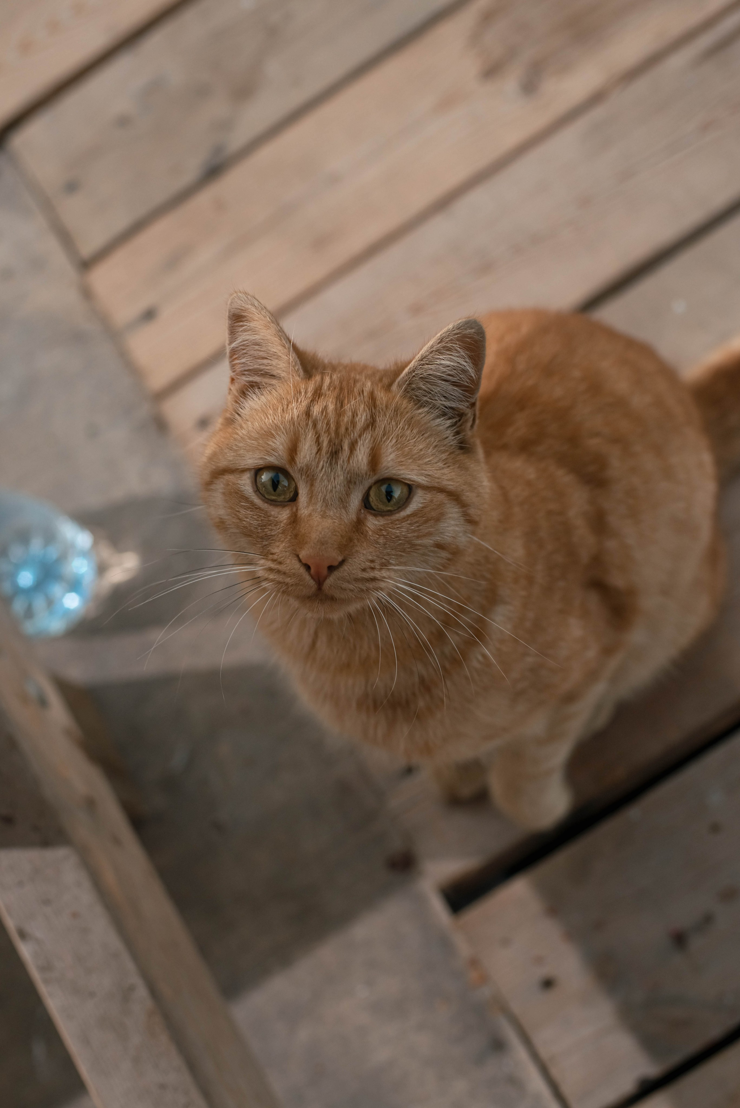 Репортажка. Гупалов Игорь — фотограф