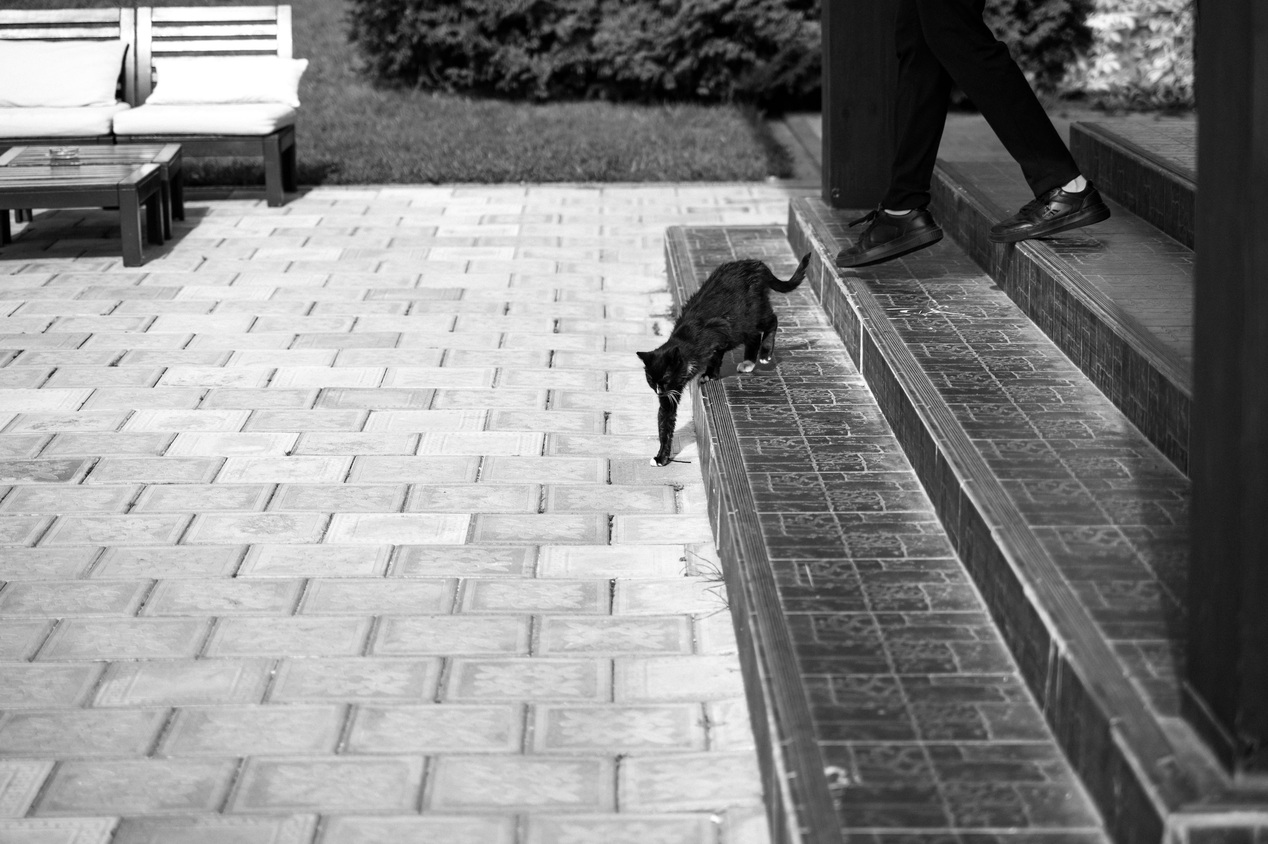 Никита и Лиза. Свадебный фотограф Минск