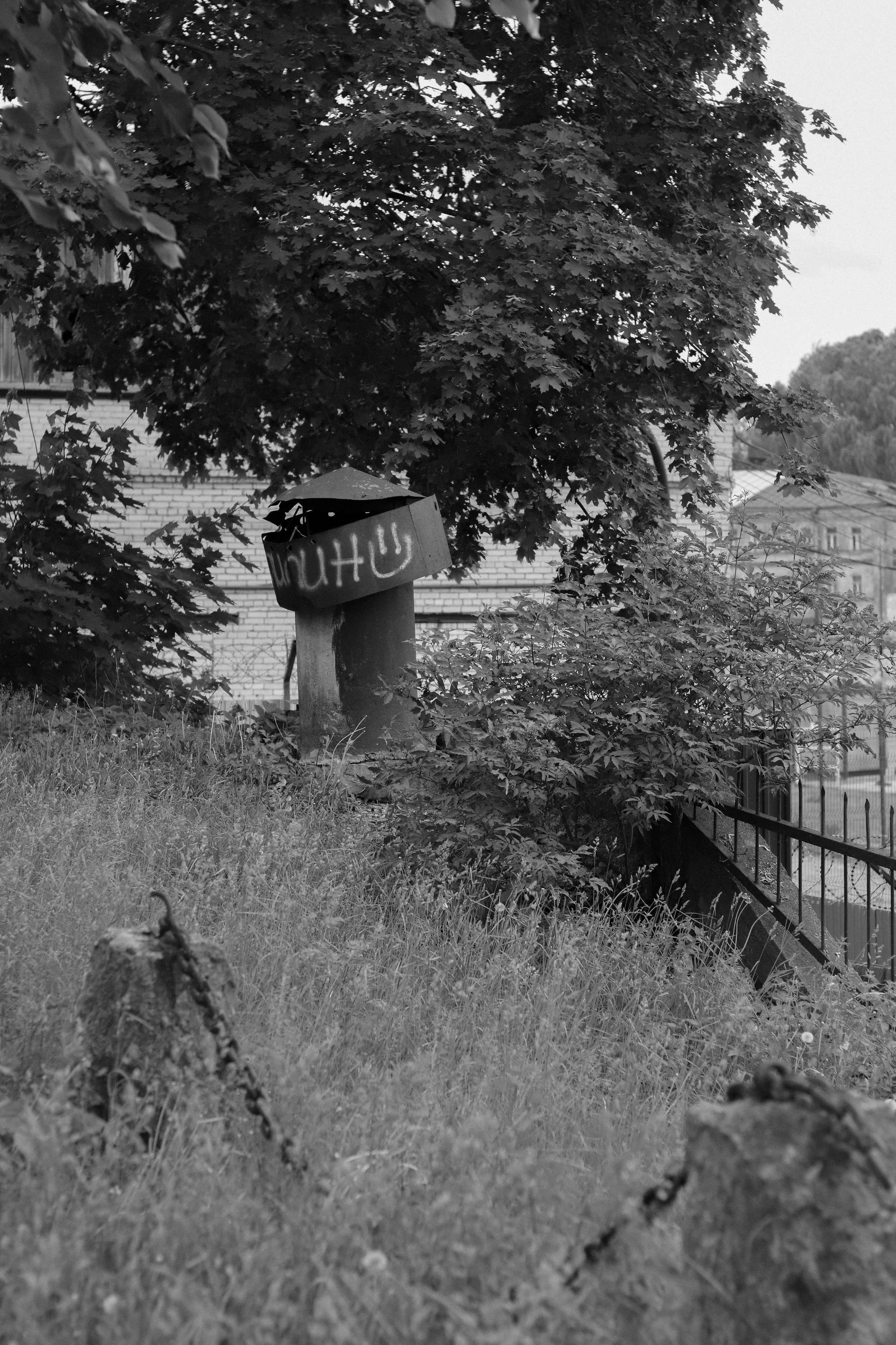 Contour. Фотограф и исследователь фотографии из Санкт-Петербурга Елизавета Веприцкая