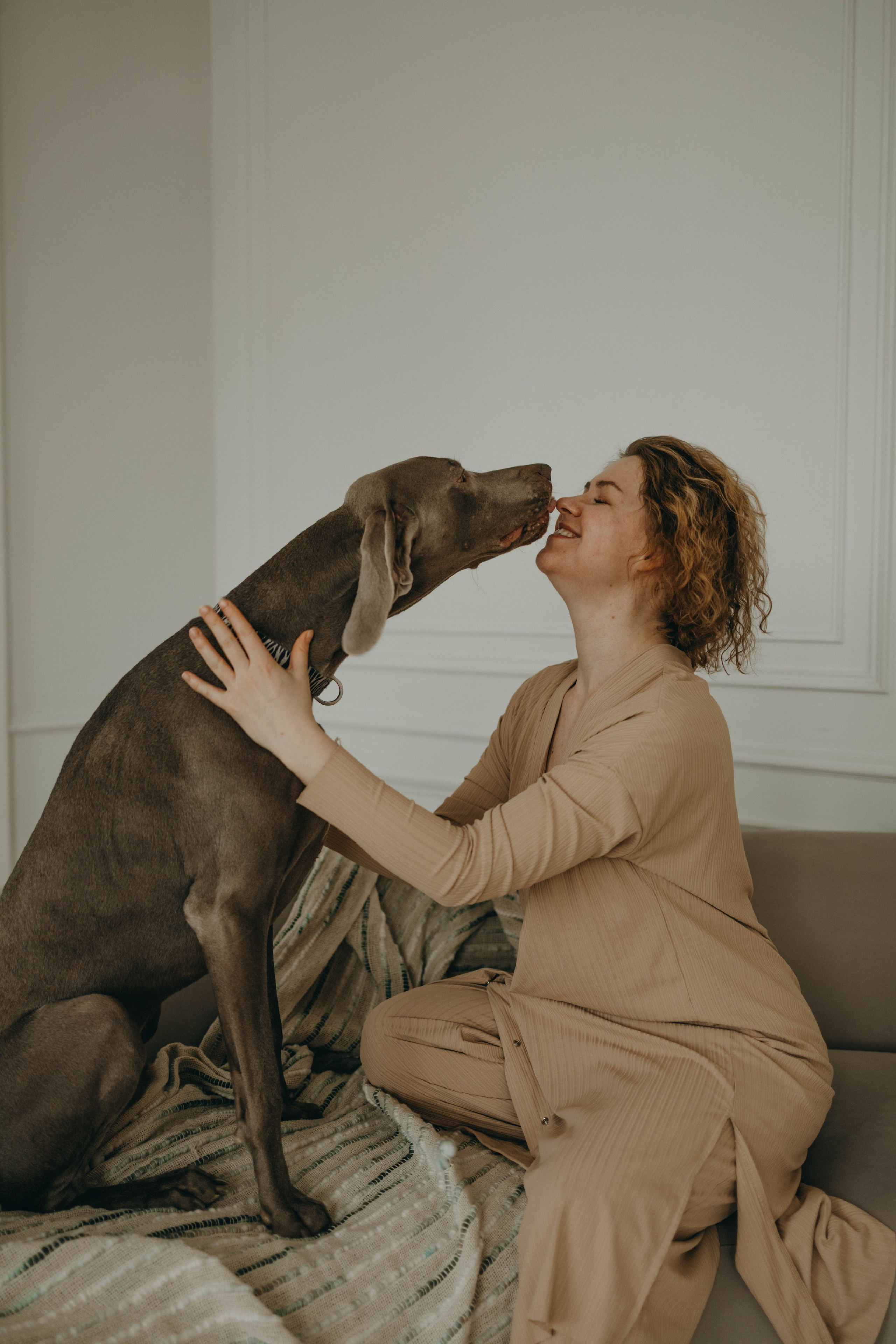 Фотосессия в студии с собакой. Фотограф-анималист в Екатеринбурге | Кристина