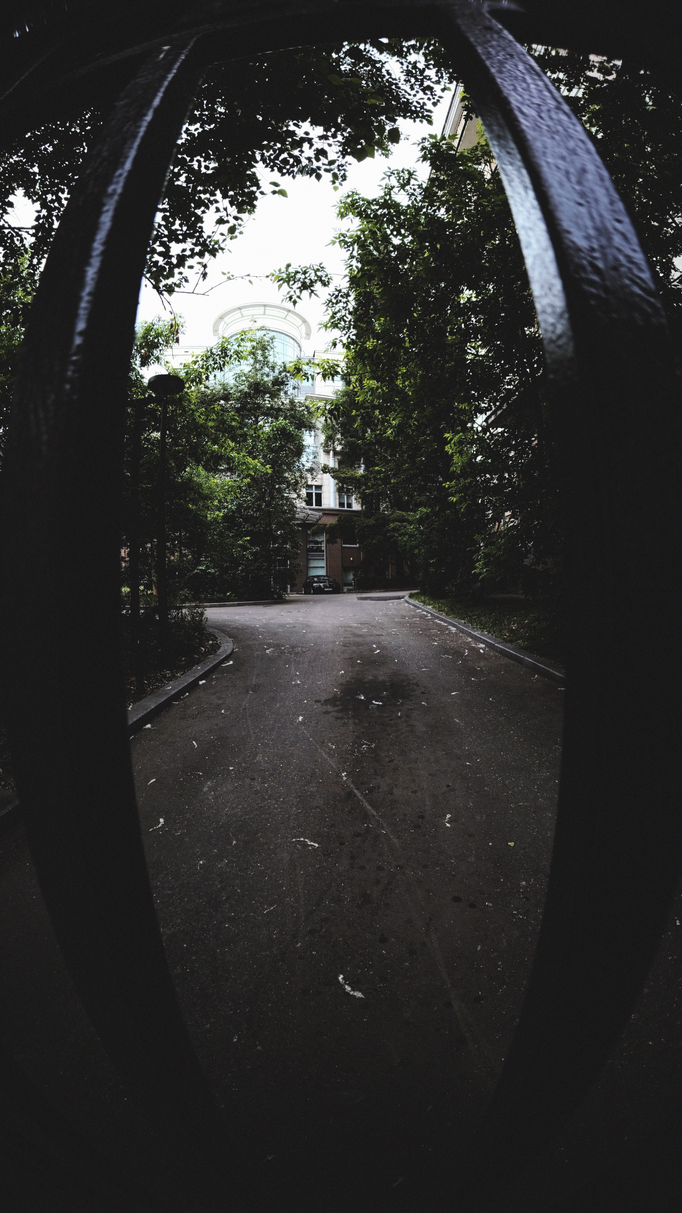 STREET TEST CODE: 002 / Ace Pro II Leica. Street Photographer