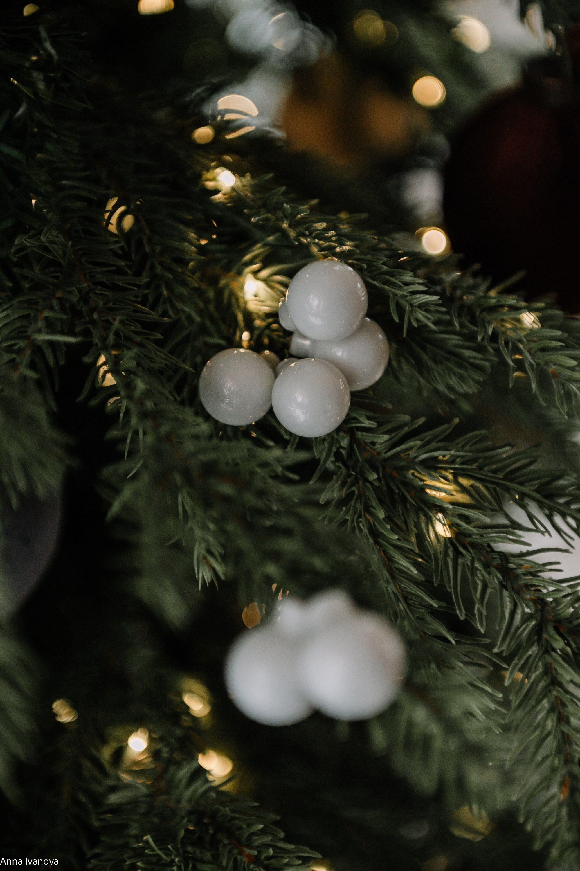 Семейная фотосессия. Анна Иванова Свадебный Фотограф Чебоксары