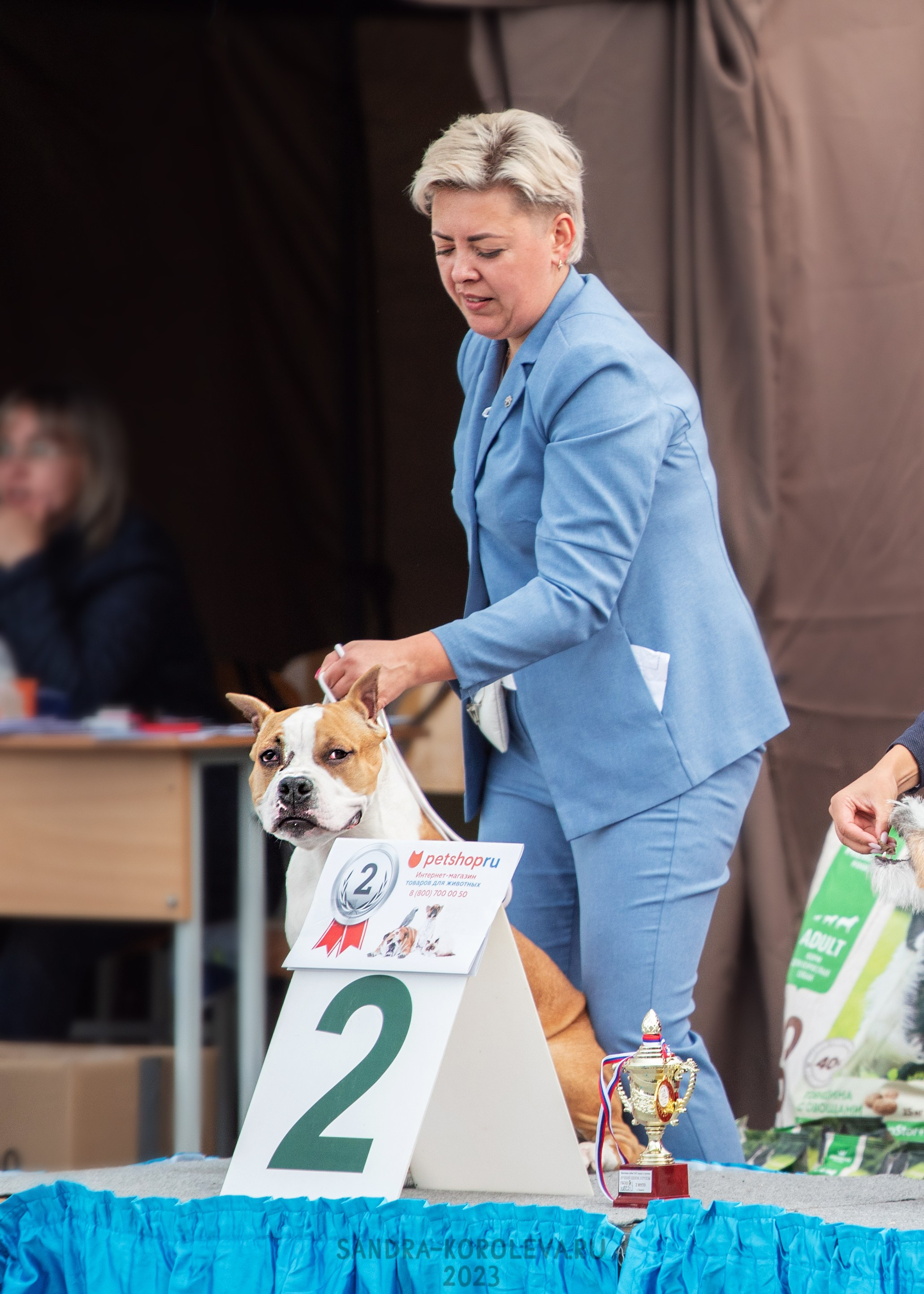 Выставка собак Тюмень 02.09.2023. Дог-фотограф в Тюмени Александра Королева