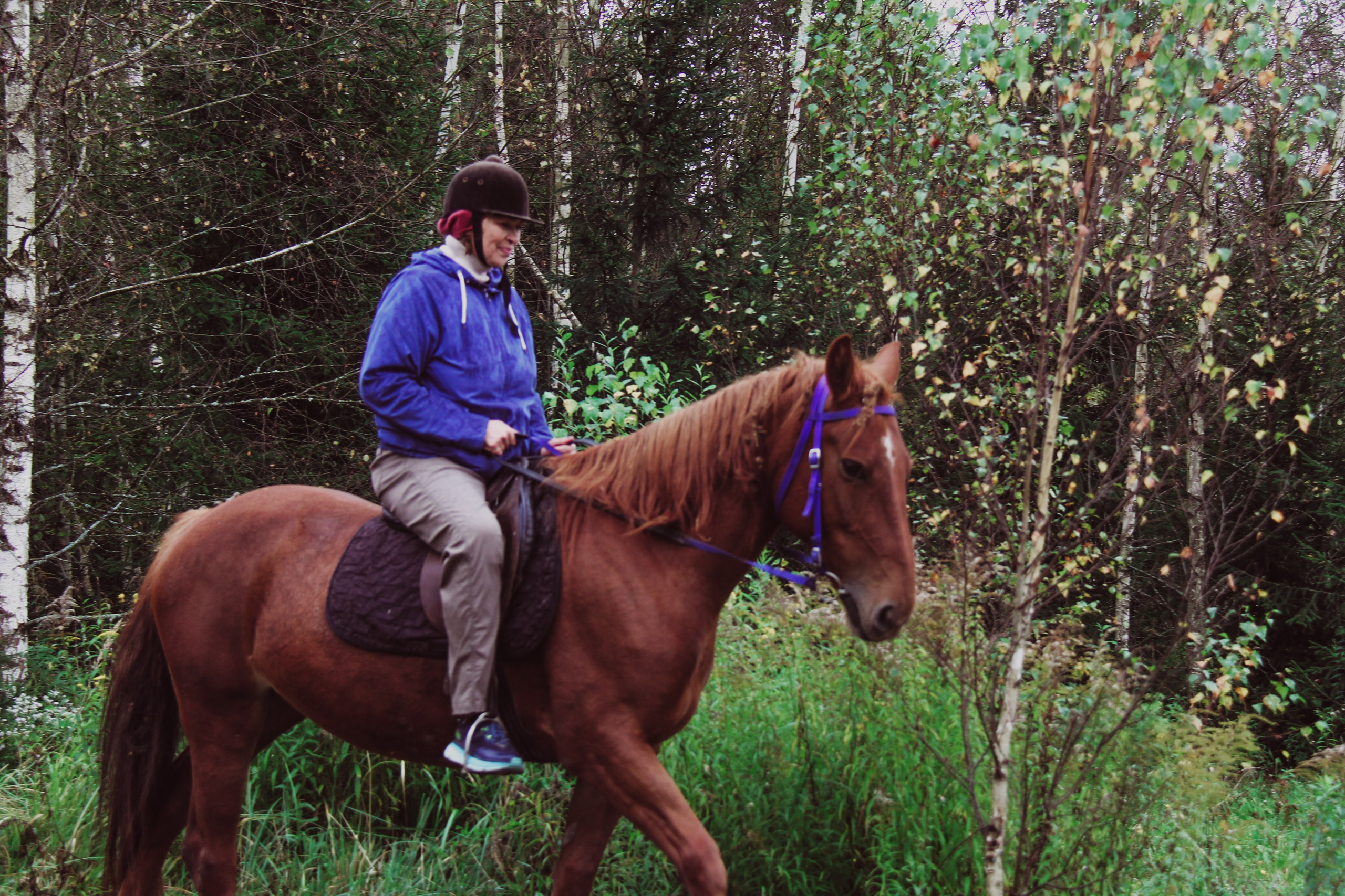 Лошадинг | 27.09.2025. Галерея Фантим