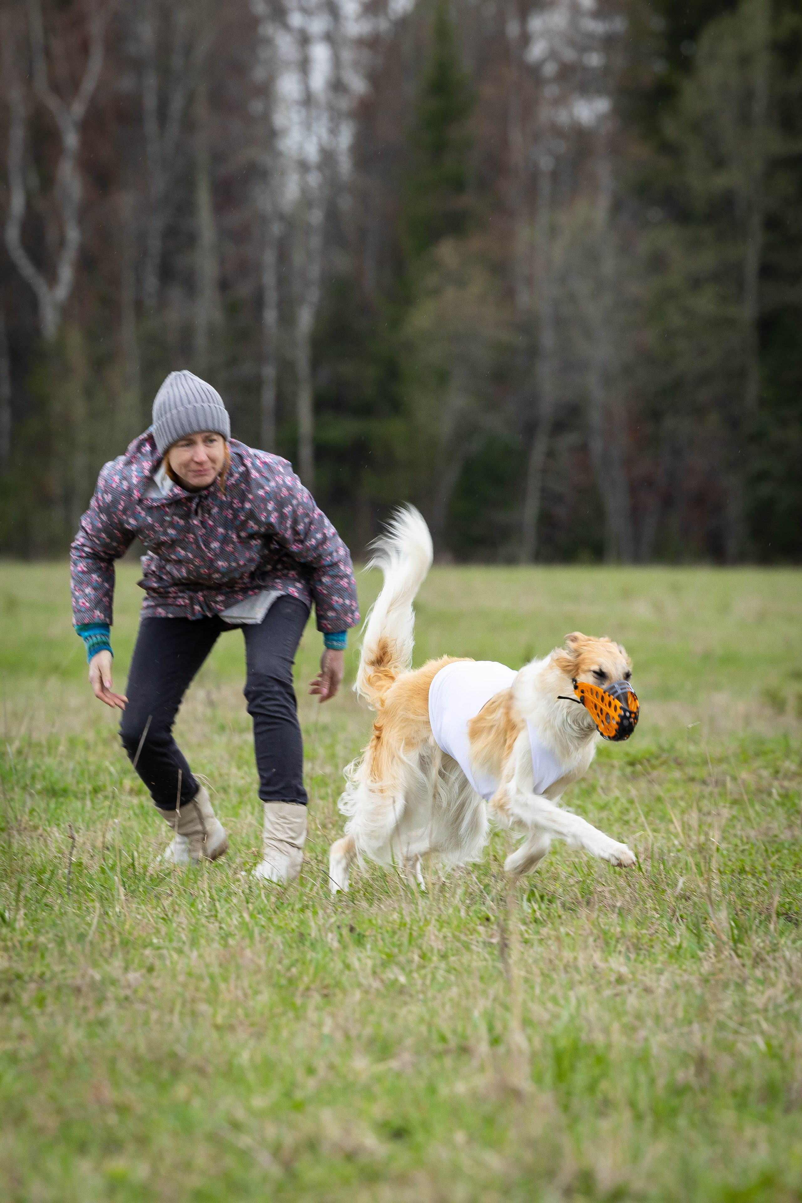 Курсинг. Фотограф Анималист в Перми Анастасия Остерман