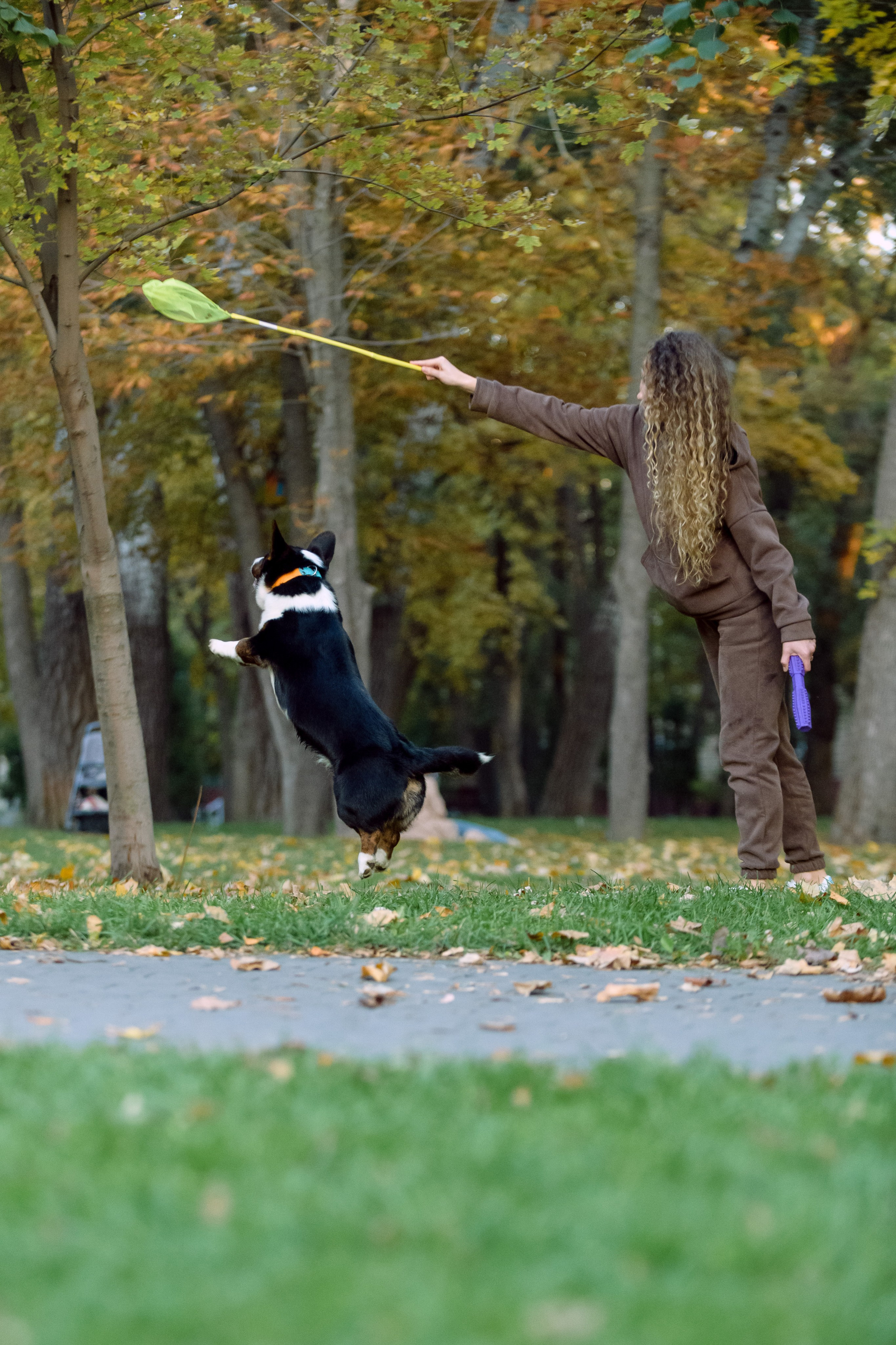 Оля и Ваня с собаками. Фотограф в Ростове-на-Дону Маркер Елена