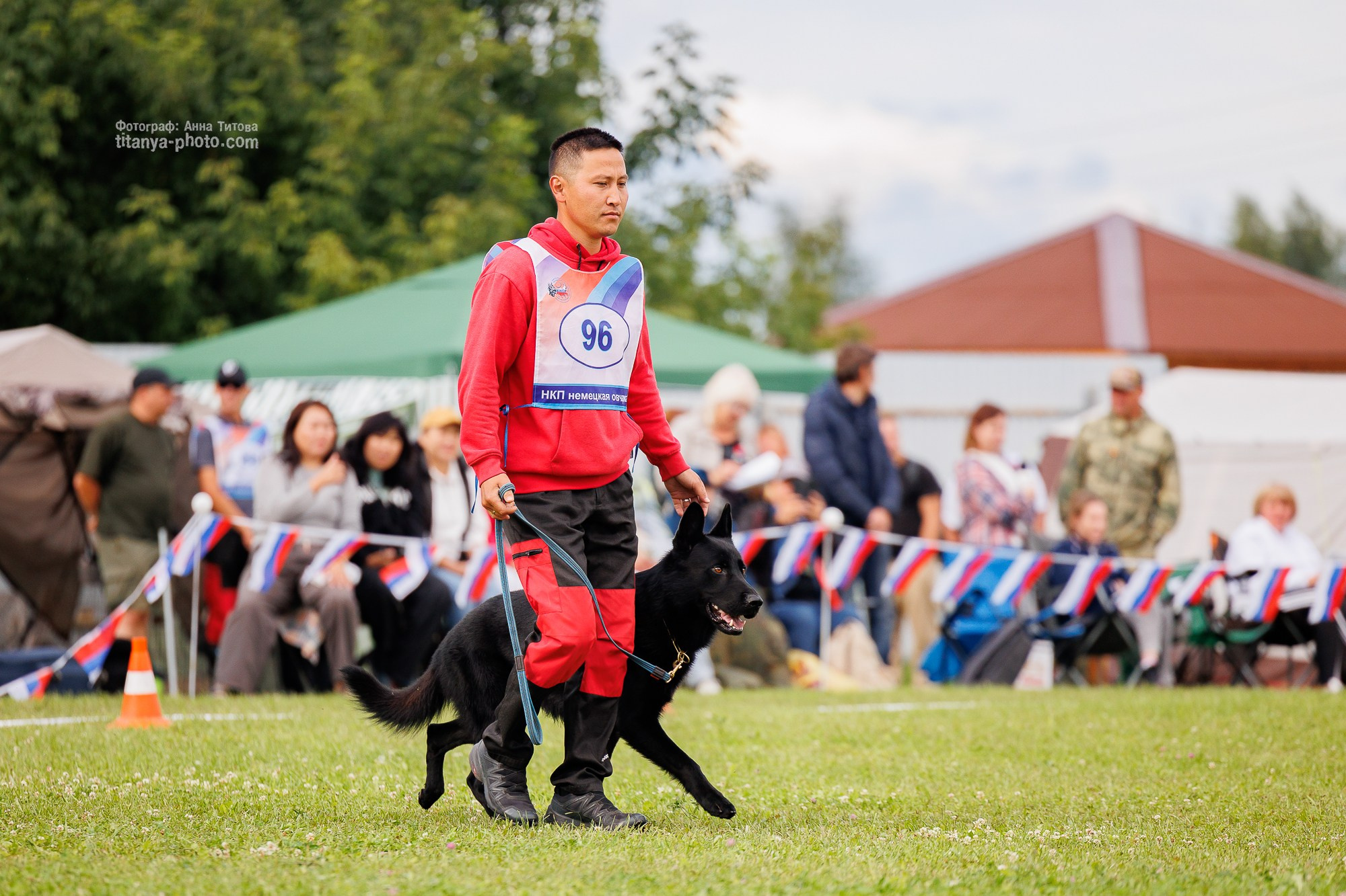 Немецкие овчарки: фото из рингов и вне ринга, мутпроба (фотографии с выставок). Фотограф собак, фотограф-анималист Аня Титова (Titanya). Москва