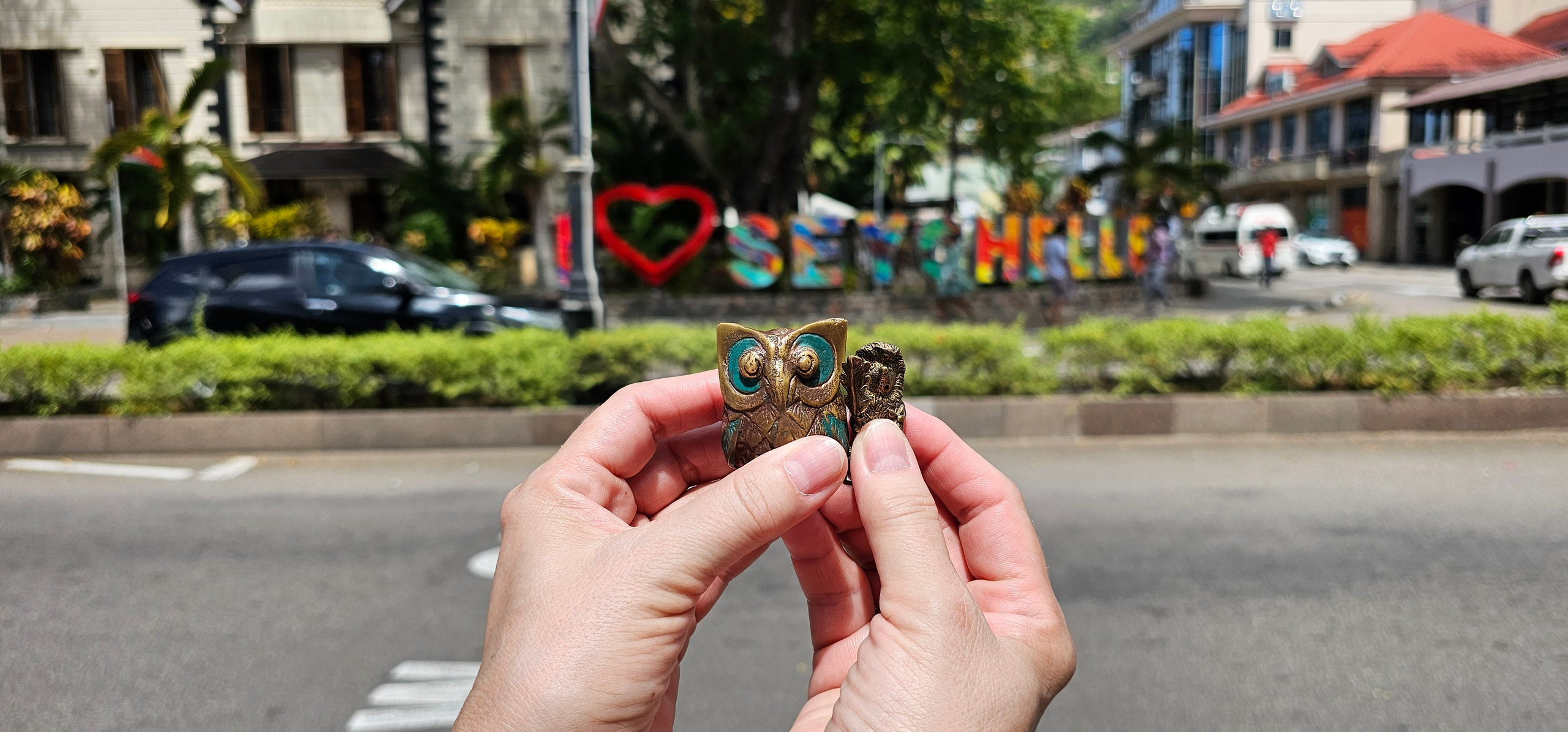 Ёжик и сова. Фотографии