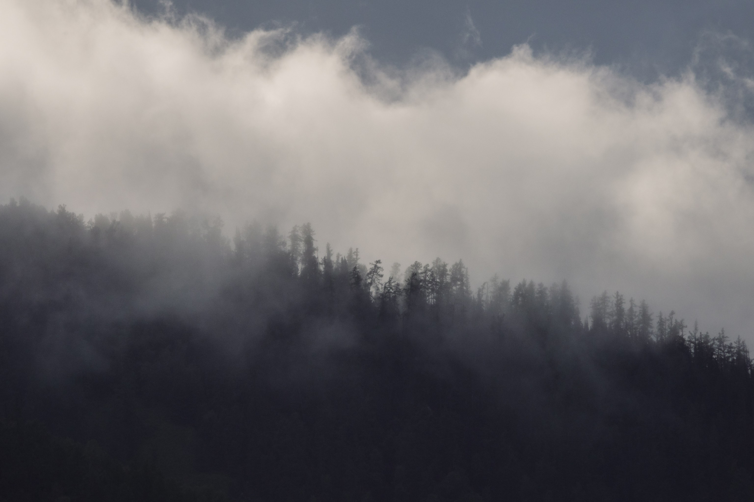 Landscape. AndreyRKT Photo