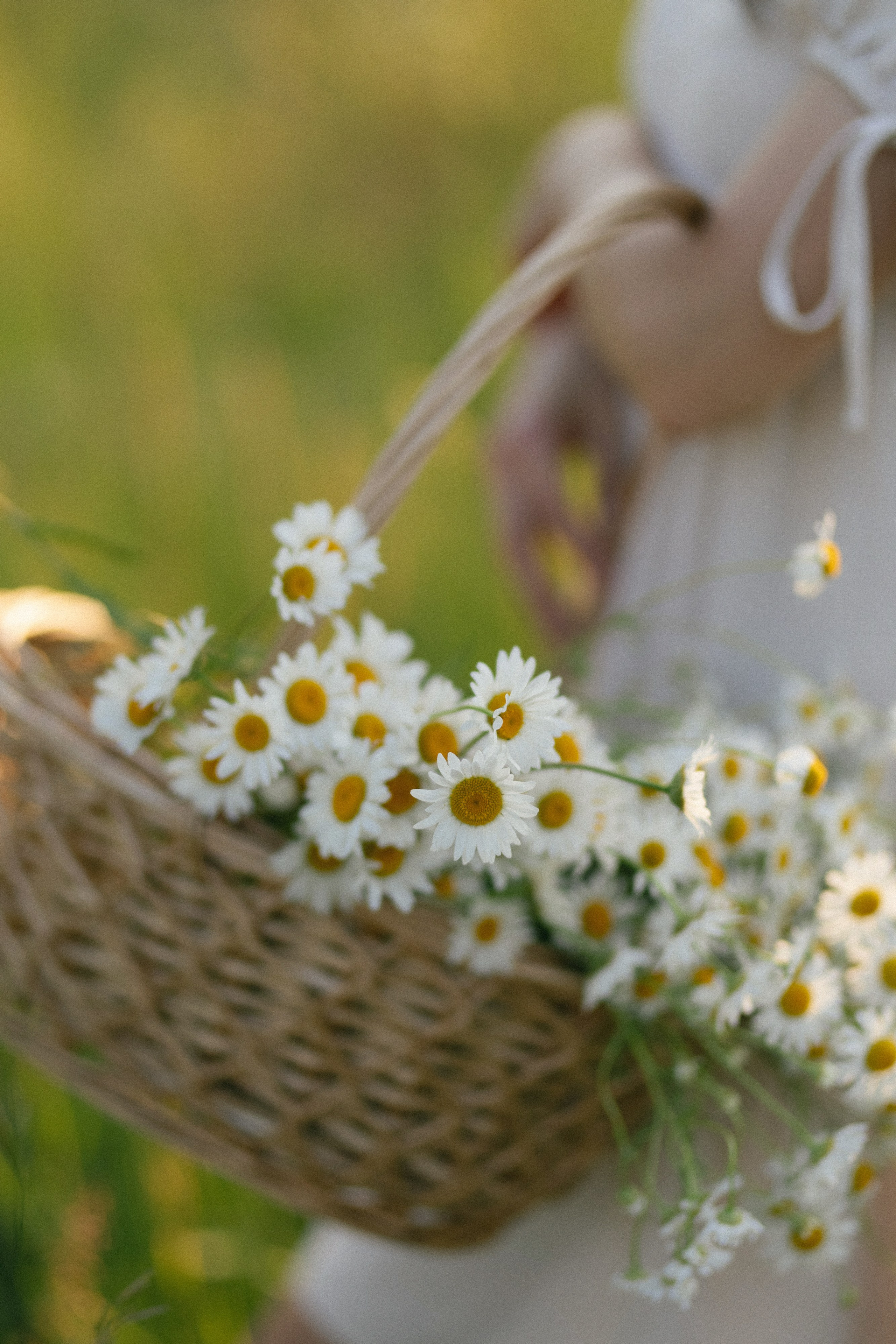 СЕМЬИ. Maria Startseva Photo