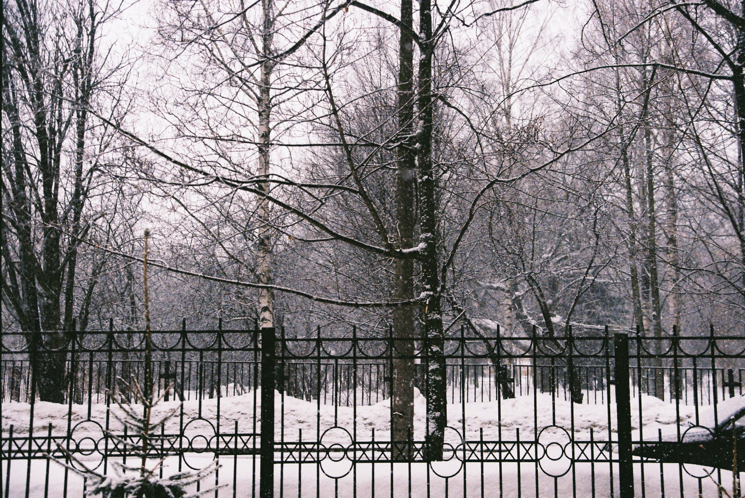 Film. Ruslan UI Dev Page