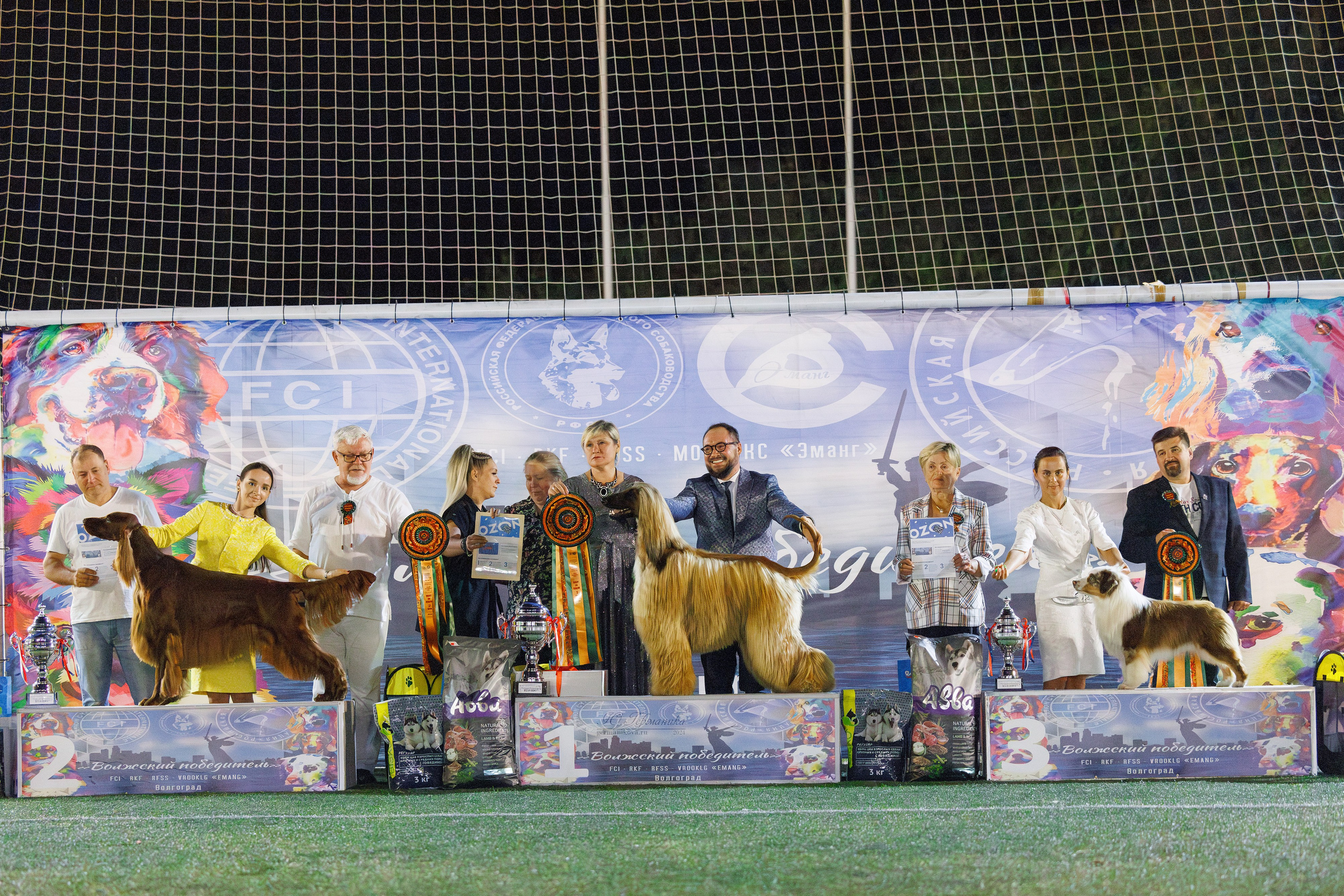 Волгоград 2-4.08.2024. Фотограф-анималист Юлия Германика