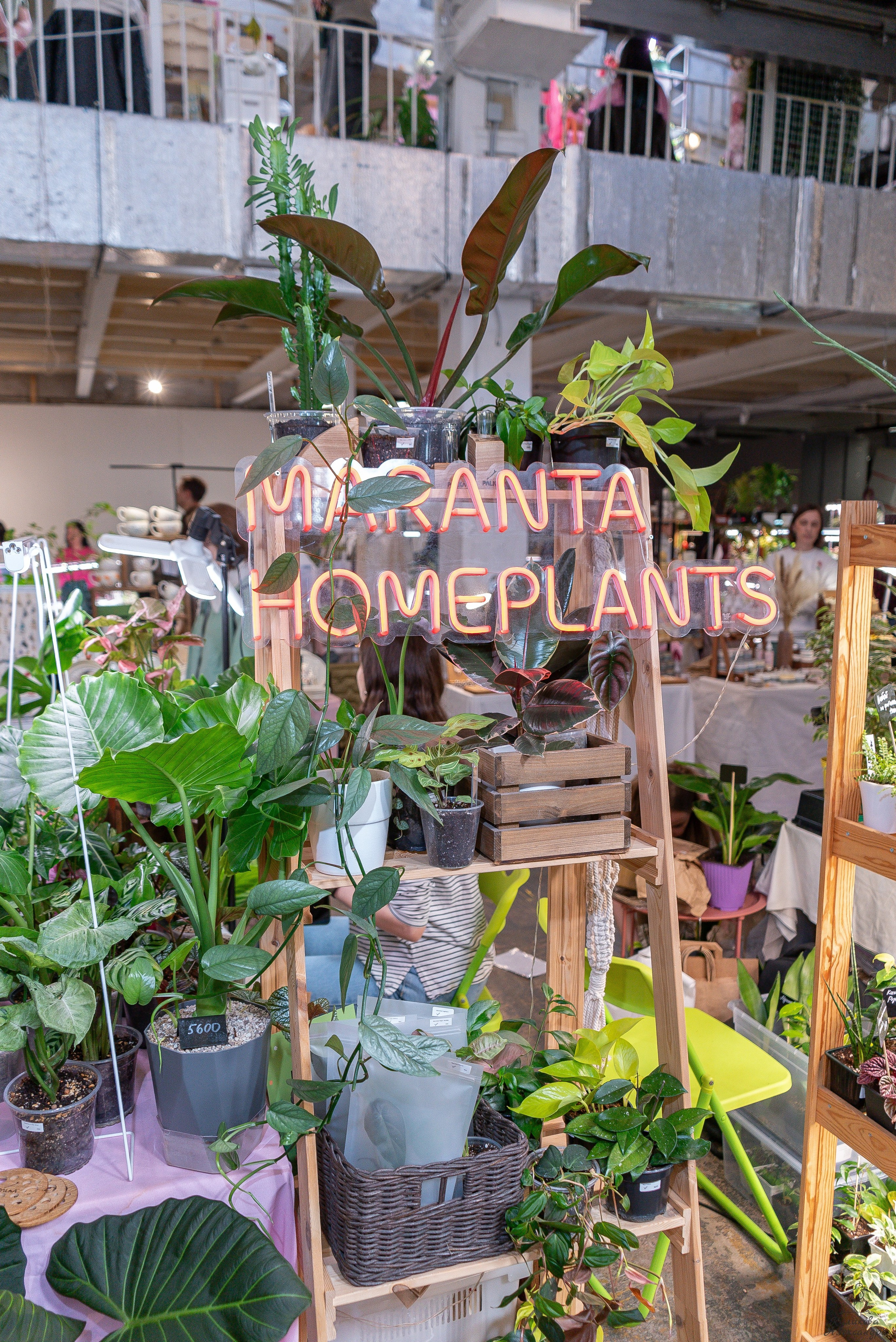 Гроубокс Артплей апрель. Александра Куликова фотограф, Москва