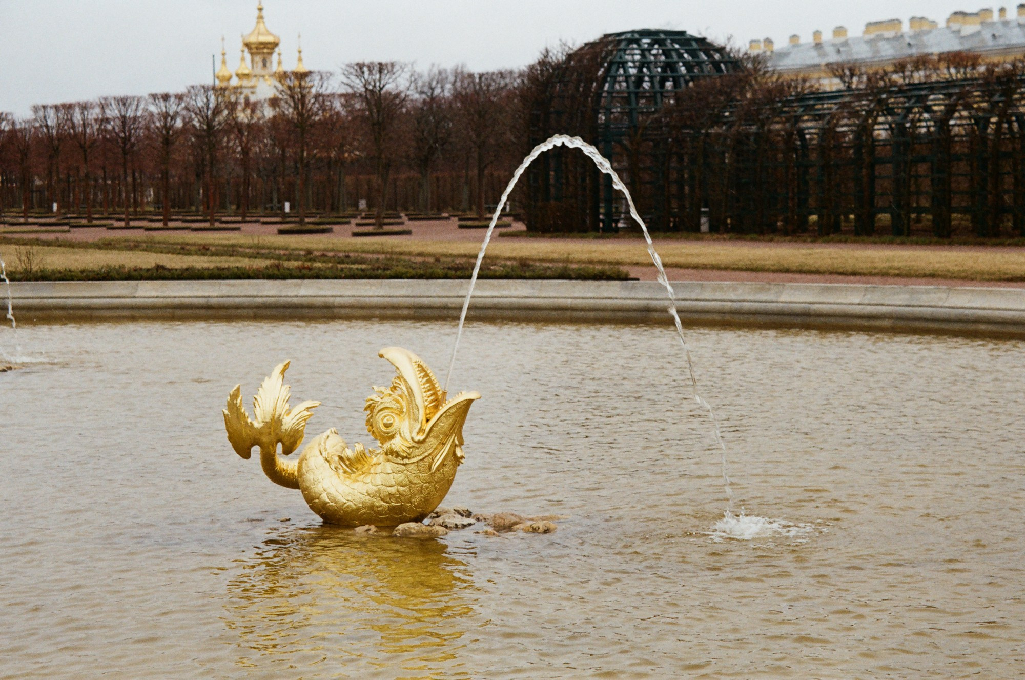 E2-E4. Documentary photographer Anastasia Pentyukhina