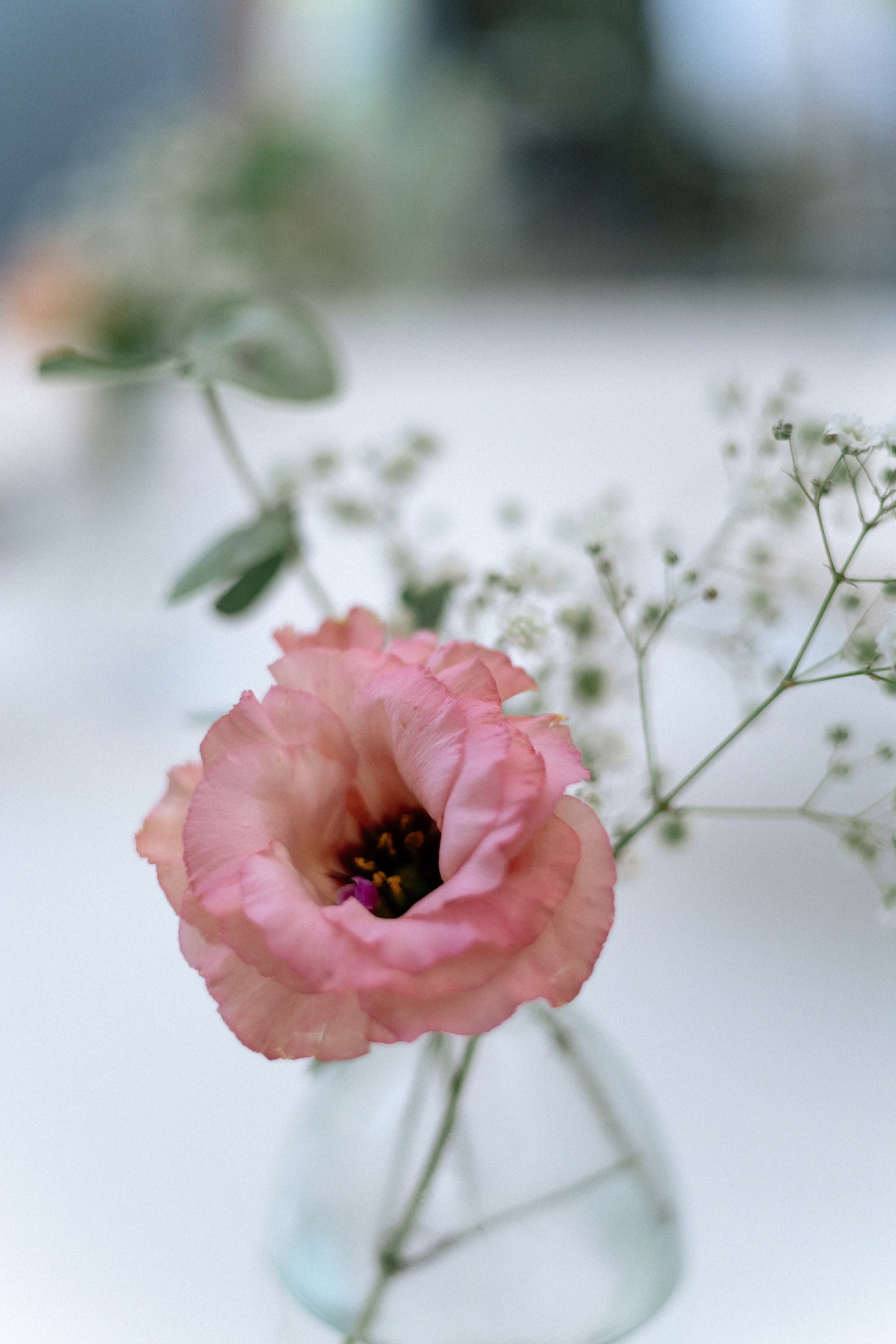 Катя и Абдель. Свадебный и портретный фотограф в Москве Анастасия Масюк
