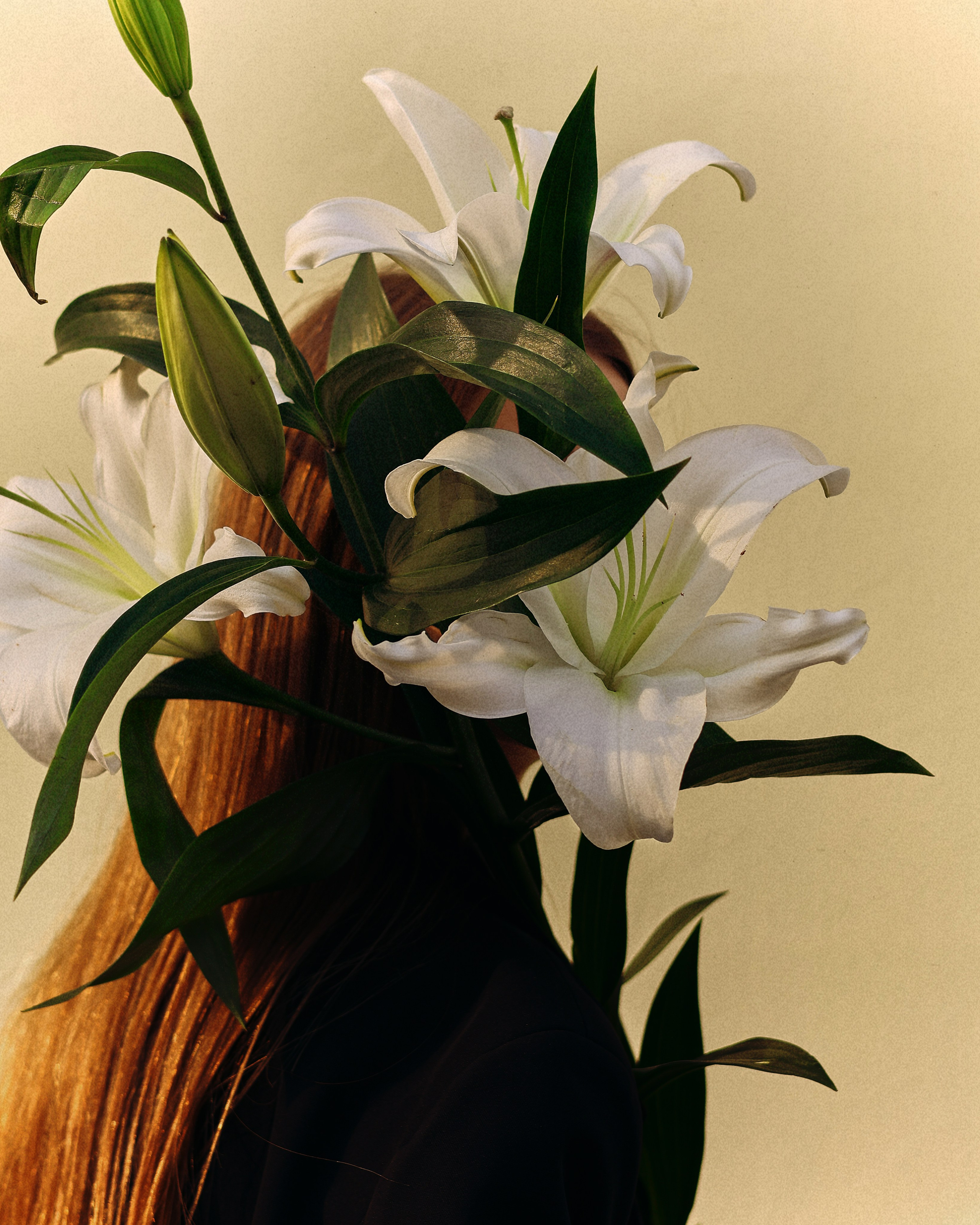 Фотограф Чита Коновалова Вероника