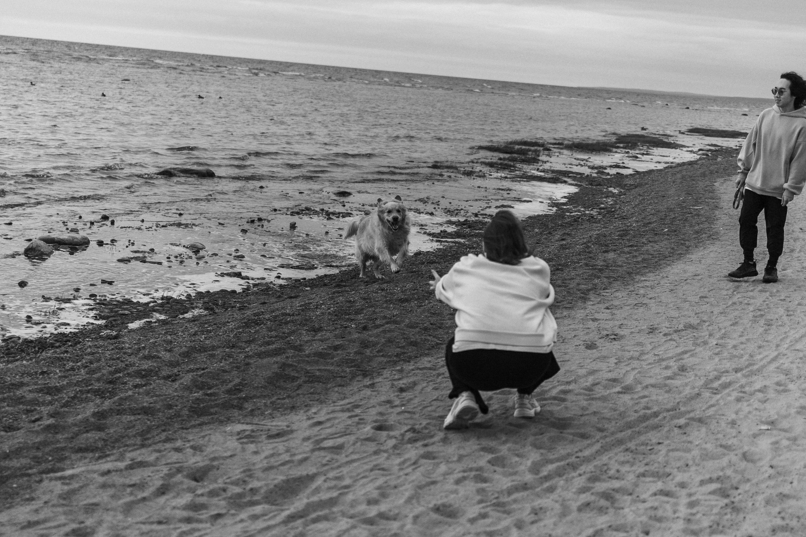 Фоси и его семьи. Фотограф — Анималист | Санкт-Петербург