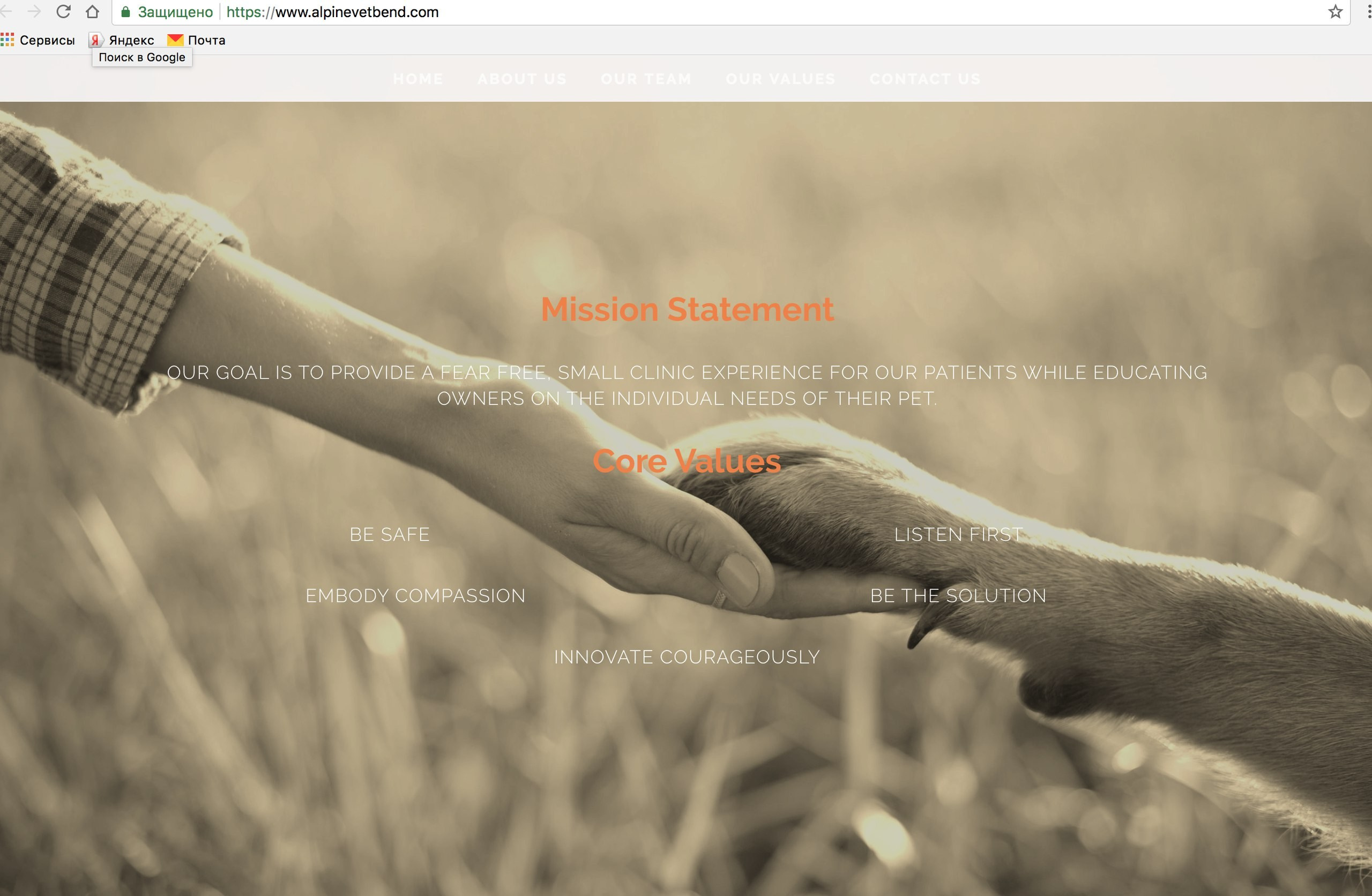 О фотографе TitAnya. Фотограф собак, фотограф-анималист Аня Титова (Titanya). Москва