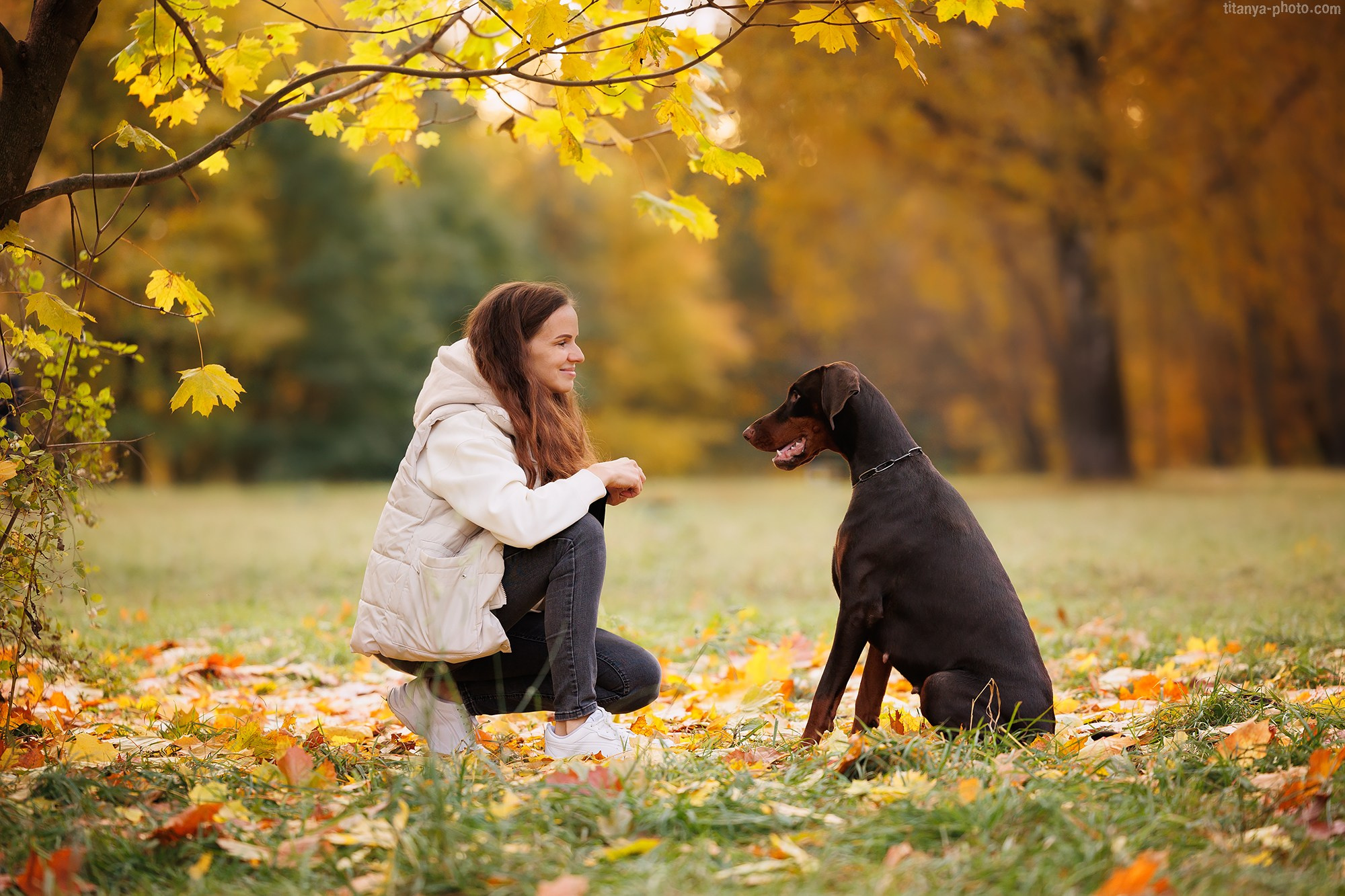 Лилия, Влад и Юма. Фотограф собак, фотограф-анималист Аня Титова (Titanya). Москва