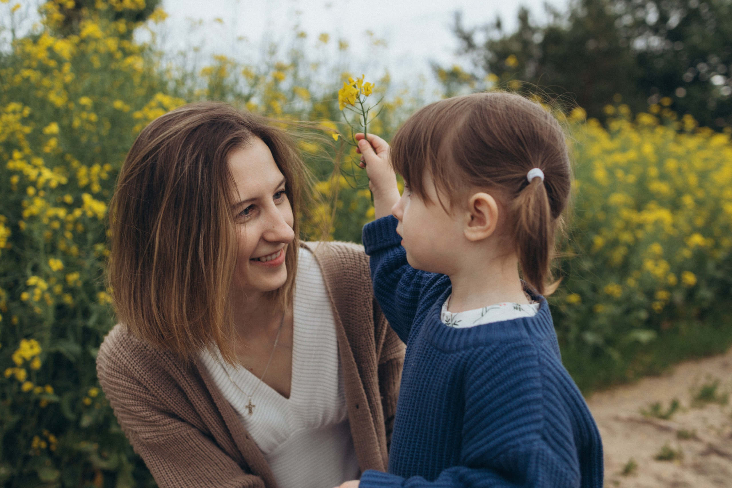После дождя. Фотограф Елена Рябцева