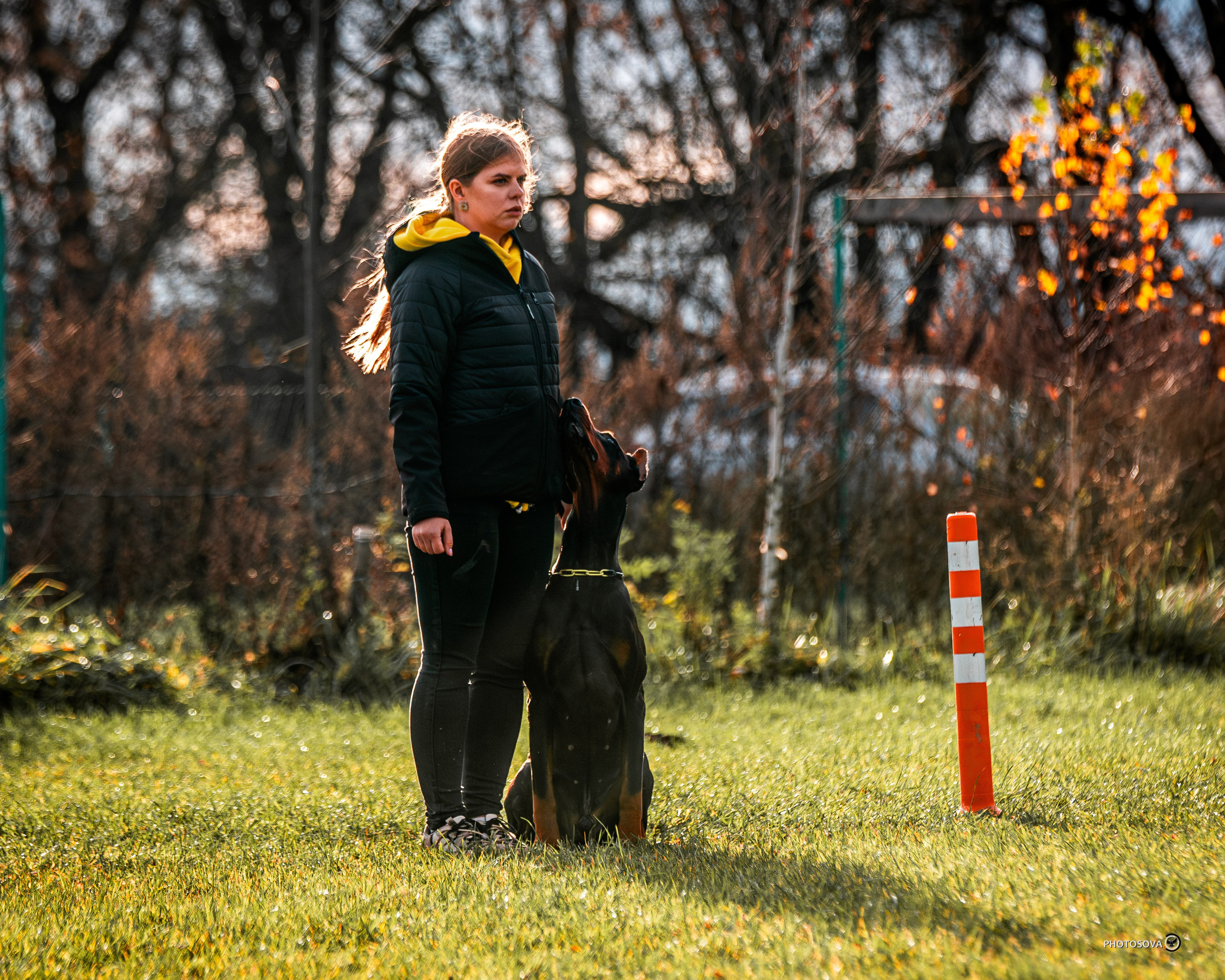 МЫ — КОМАНДА (соревнования) OKD, BH, IBGH, IGP. Фотограф-анималист, семейный фотограф в Москве и Подмосковье. Фотосъёмка кинологических дисциплин