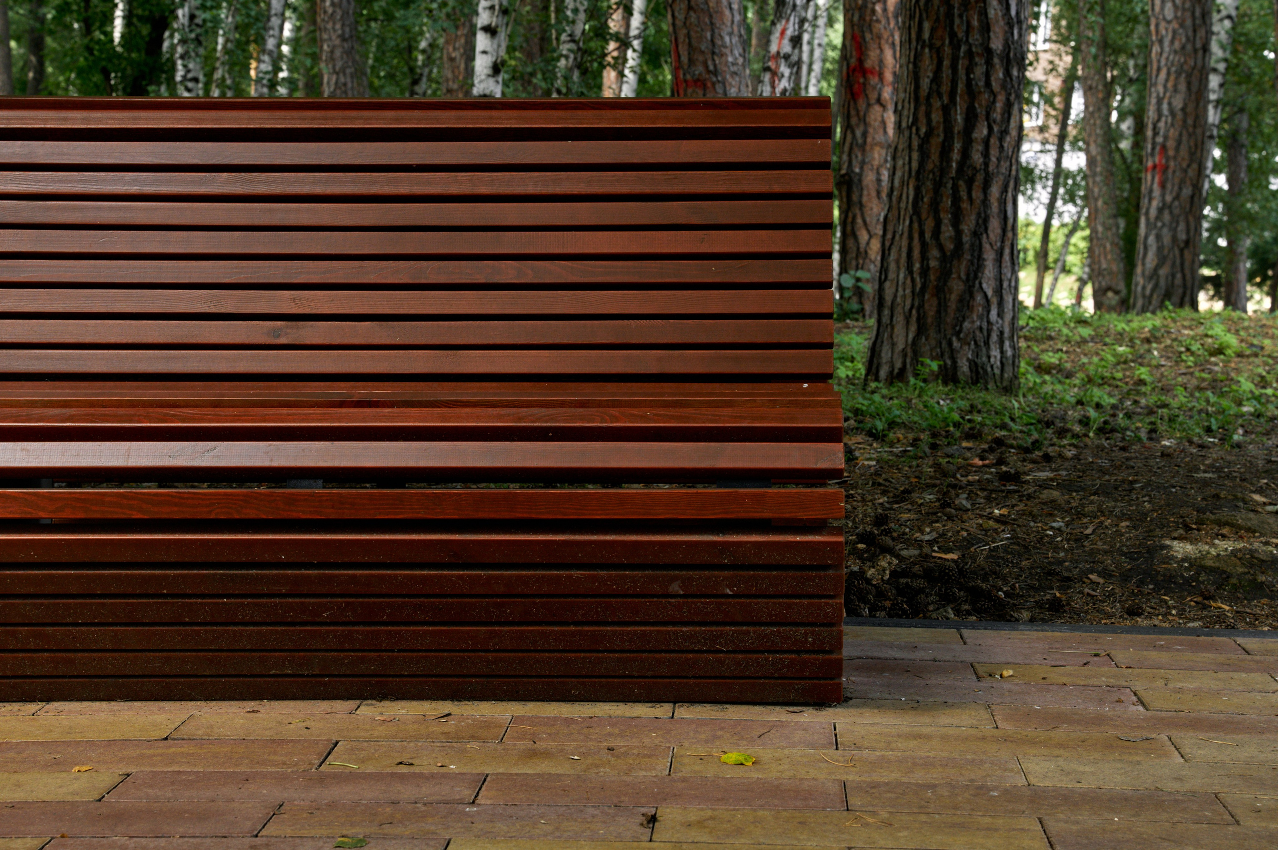 Ярослав и Карина. Фотограф Челябинск — Кирилл Устюжанин