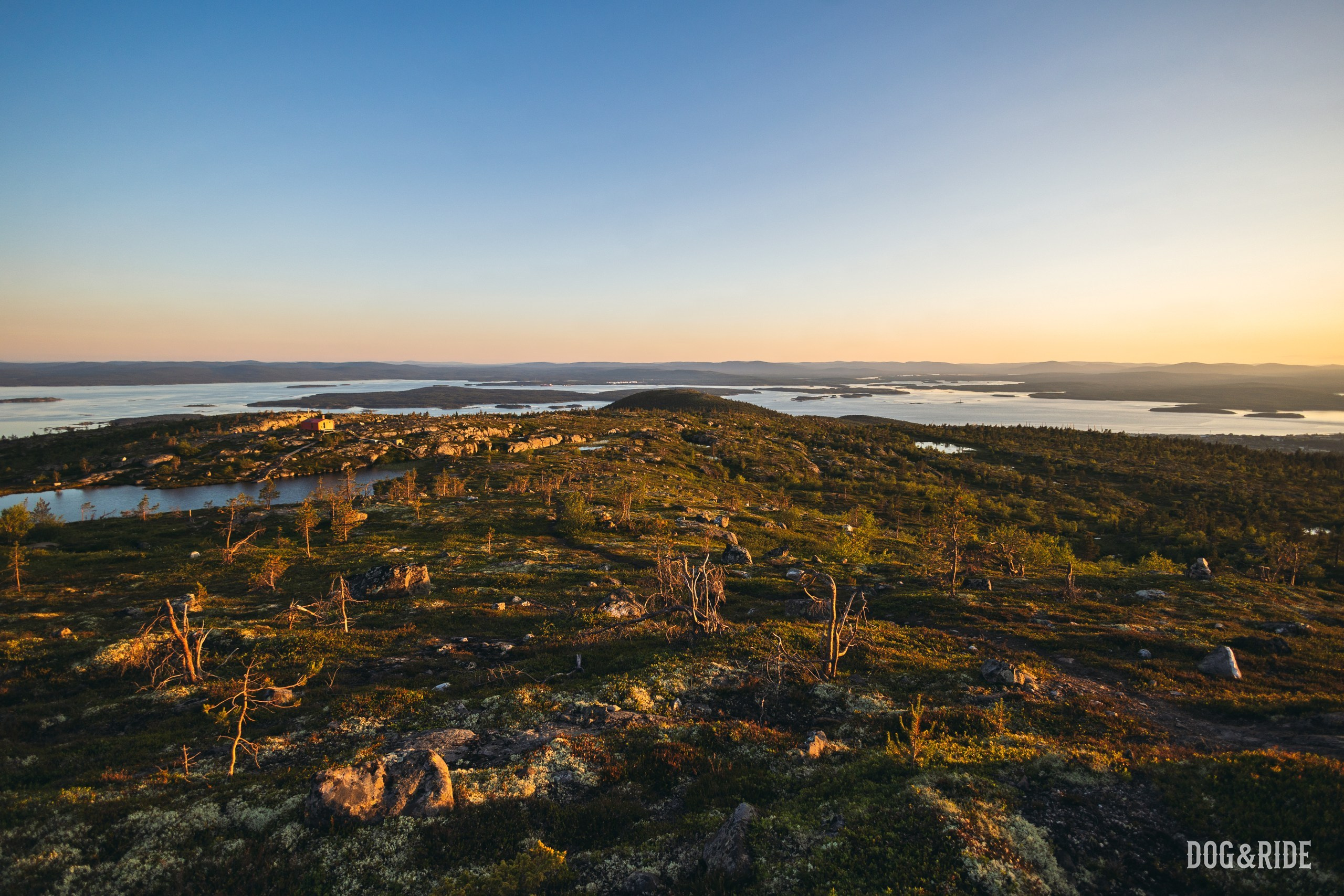 Кандалакшка. Фотограф анималист Никита Натальный