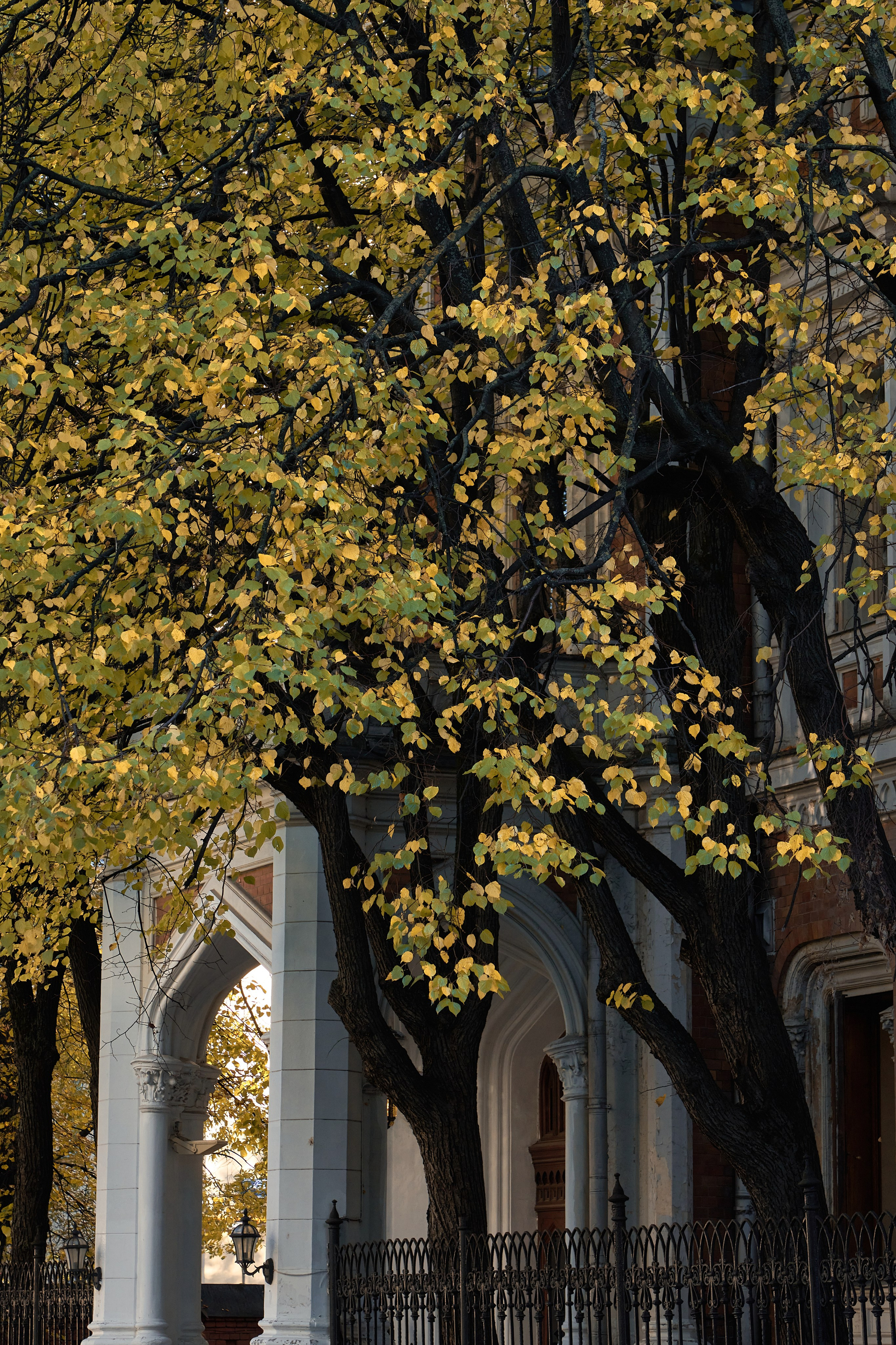 Уличная съёмка разные локации для фото в Москве