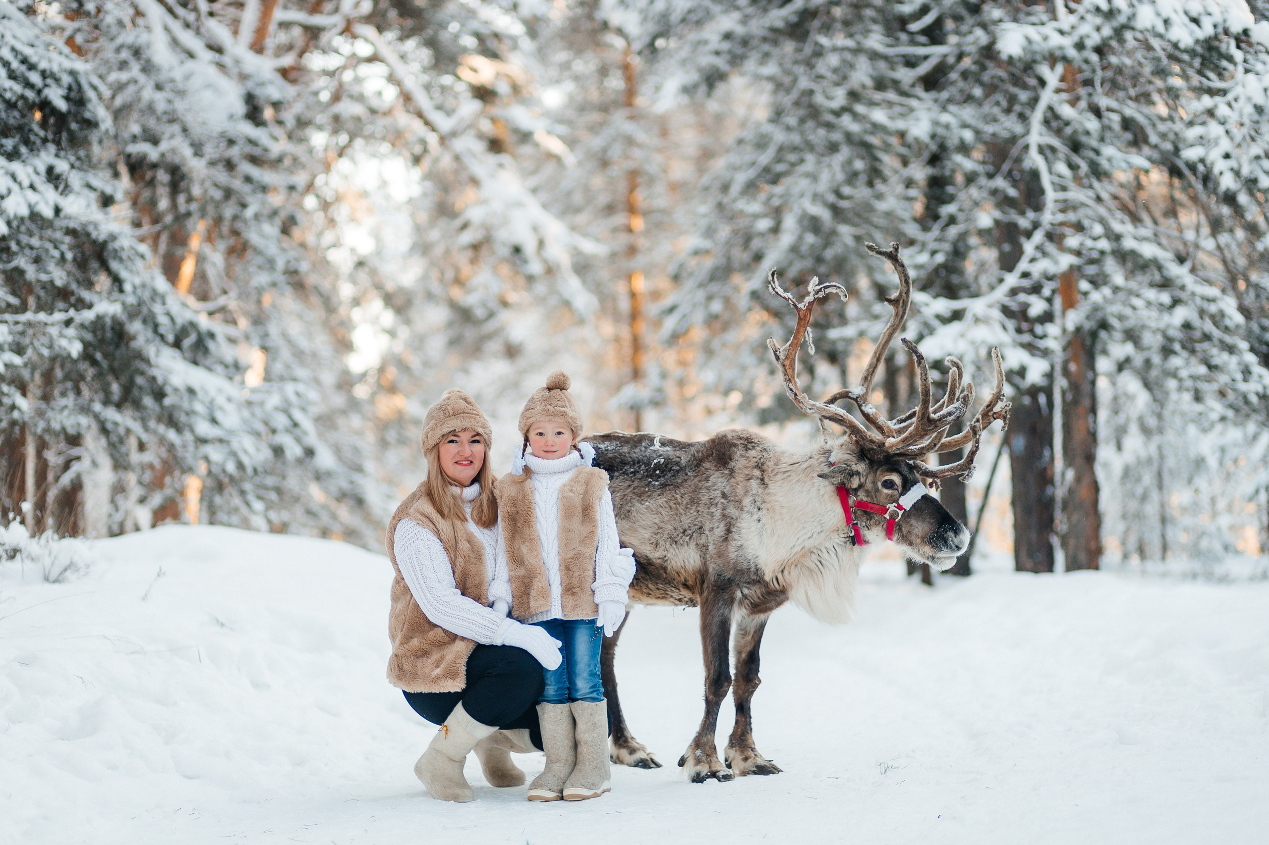 СЕВЕРНЫЙ ОЛЕНЬ. Свадебный и семейный фотограф Динар Гильмутдинов