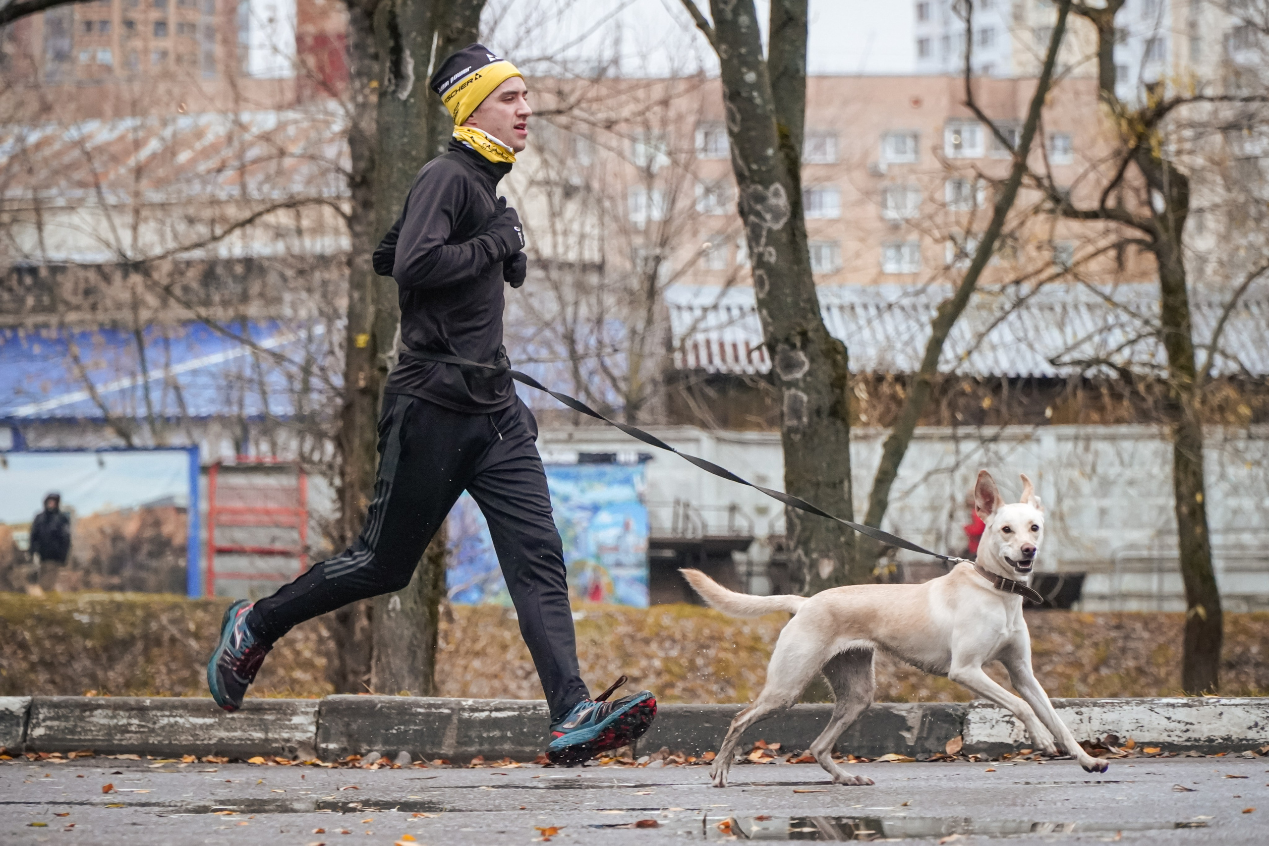 5 вёрст Реутов 16.11.2024. Роман Капилюшов. Бег. Фото. Видео. г. Люберцы