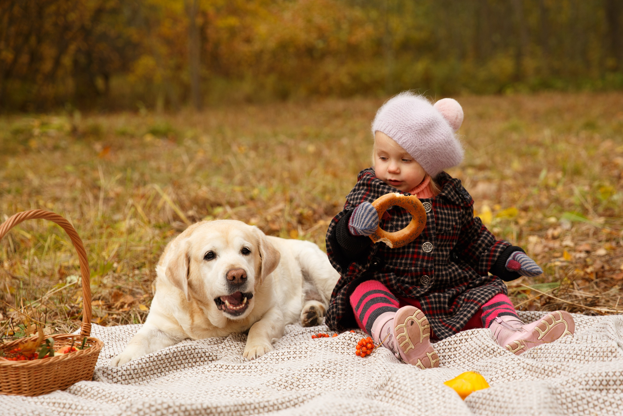 Осенним днём. Детский и Семейный фотограф в Санкт-Петербурге