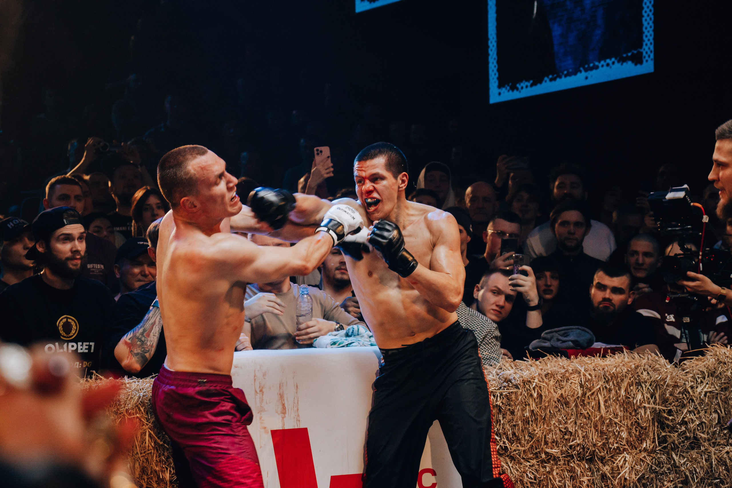 Кулачные бои TopDog. Анастасия Тен