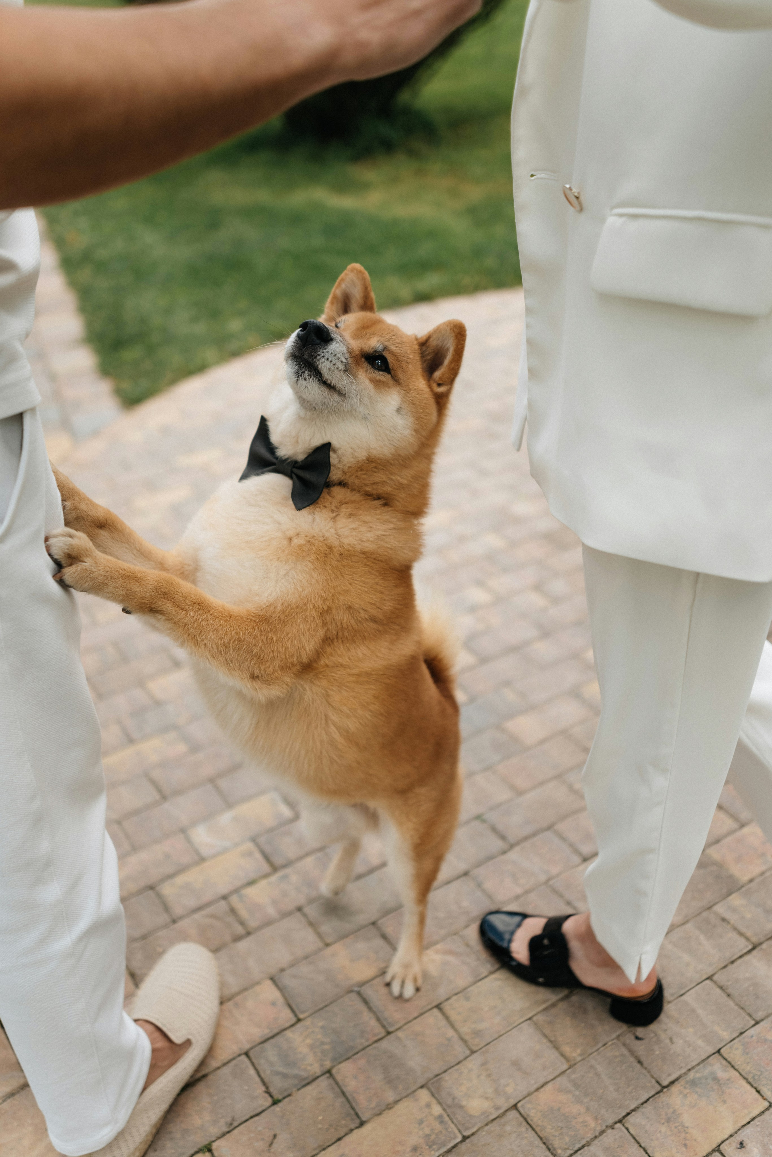 Янина и Семен. Свадебный и портретный фотограф в Минске Татьяна Лобода