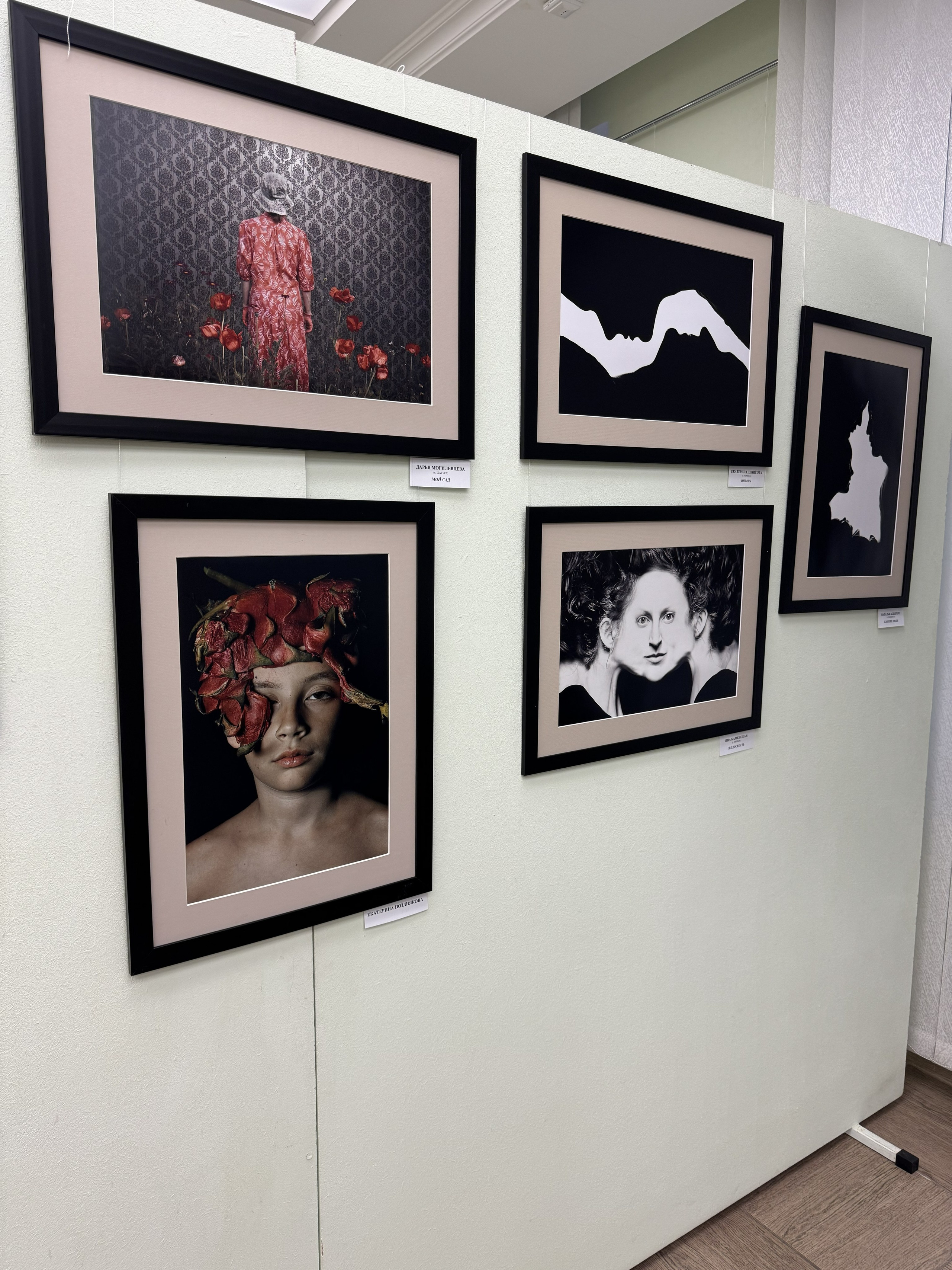 Выставка в галерее имени В. Собровнина. г. Белгород. Россия. Art Рhotographer Russia/Moscow