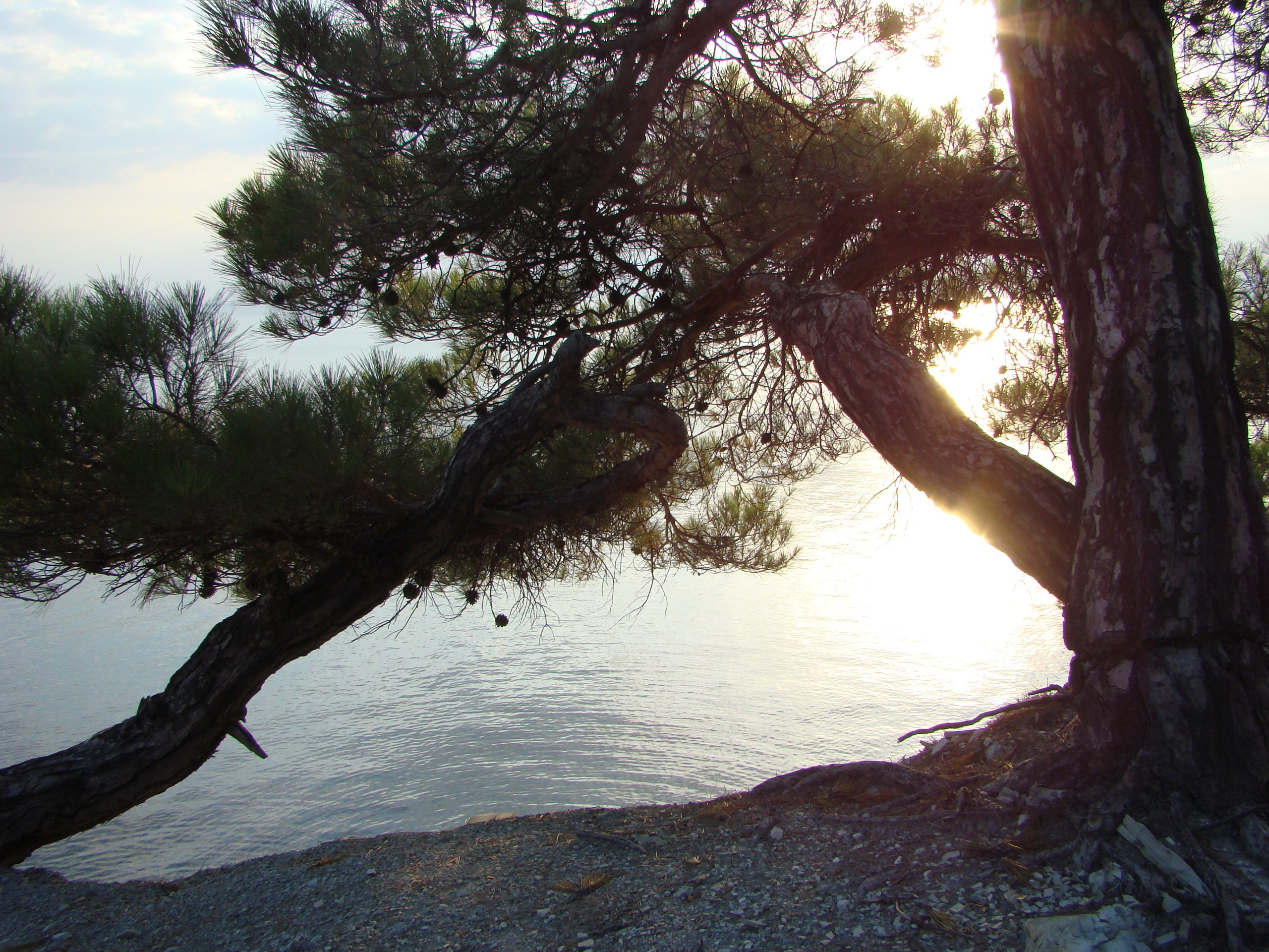 Кабардинка (фото Зевиных) 25.06-24.07.2008. Семейный, Свадебный фотограф СПБ Питер— Романова Екатерина