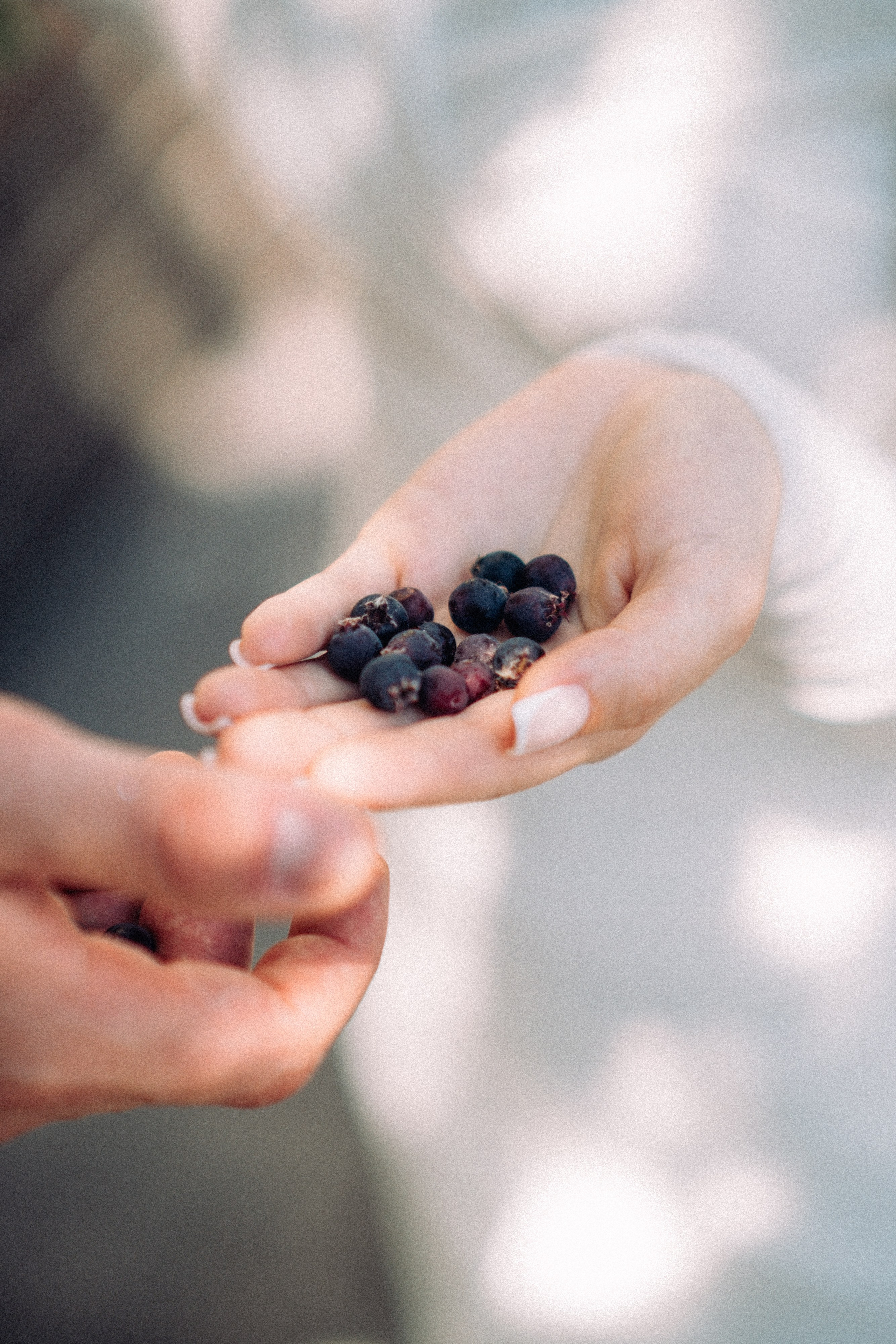 Паша_Юля. Свадебный и семейный фотограф Барнаул Рубцовск Бийск Алтайский край