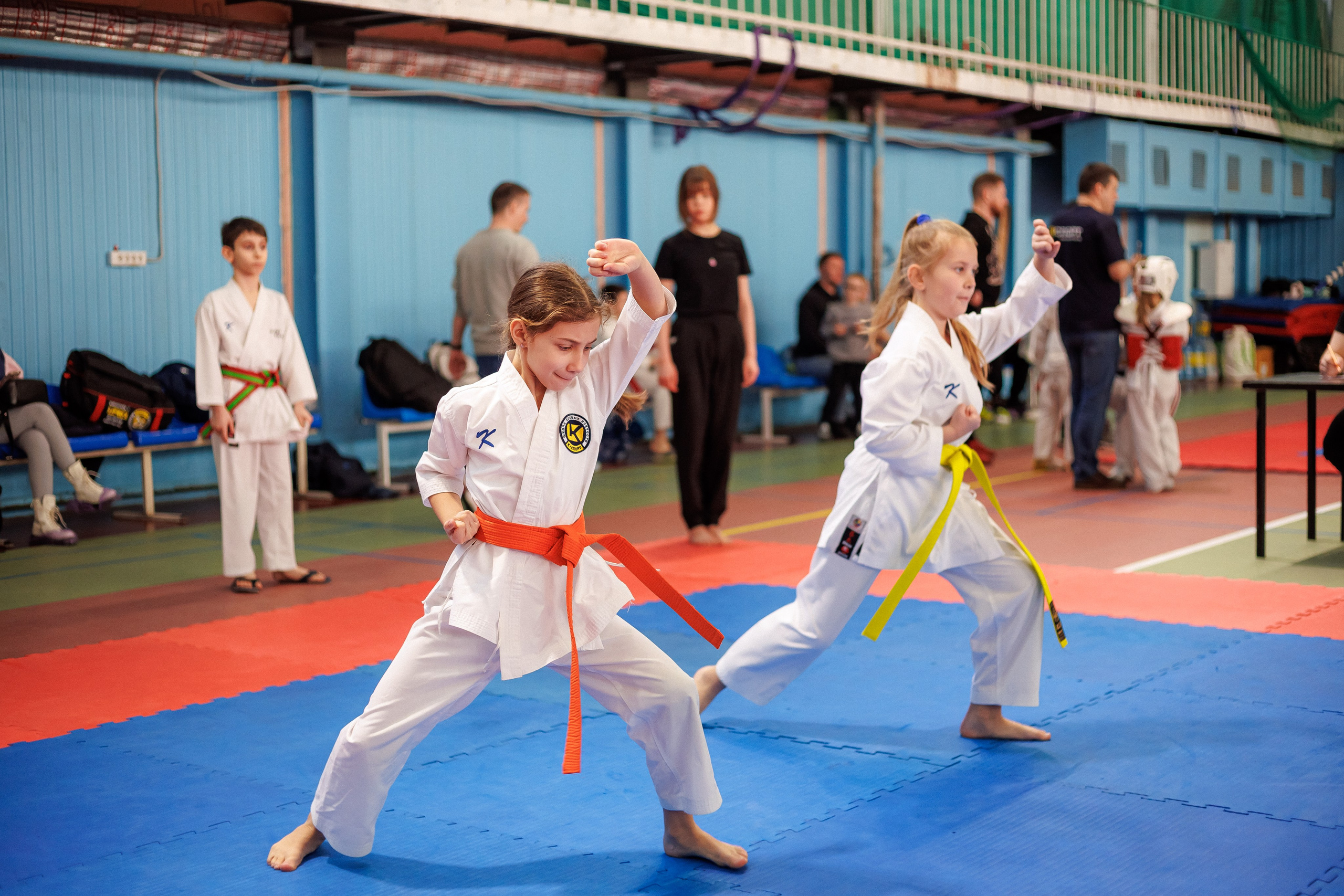 Соревнования (карате). Фотограф в Москве Базанова Дарья