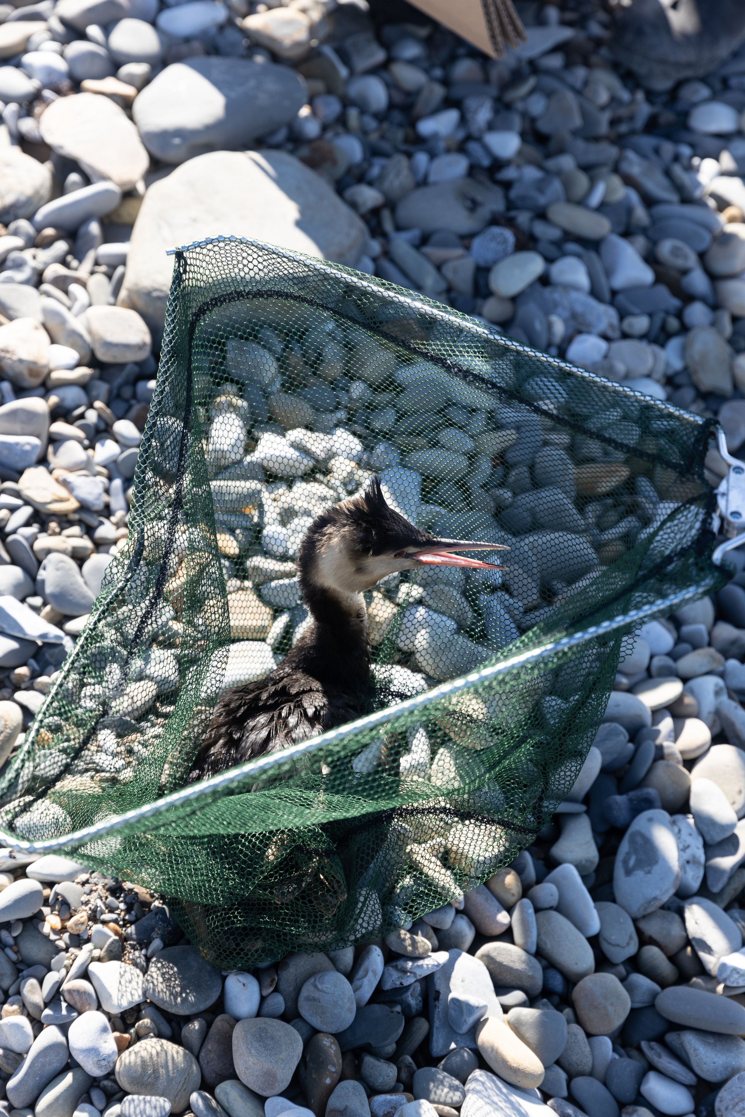 Anapa. Фотограф Маша Новодережкина