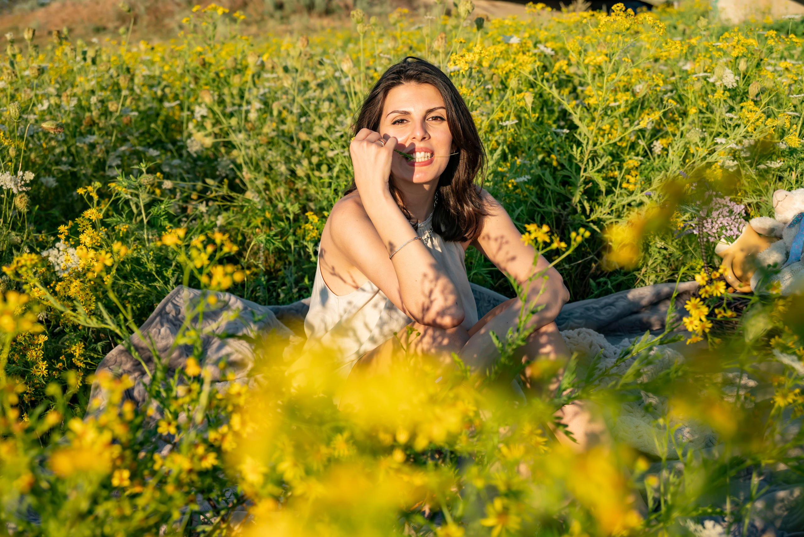 Летняя прогулка. Главная