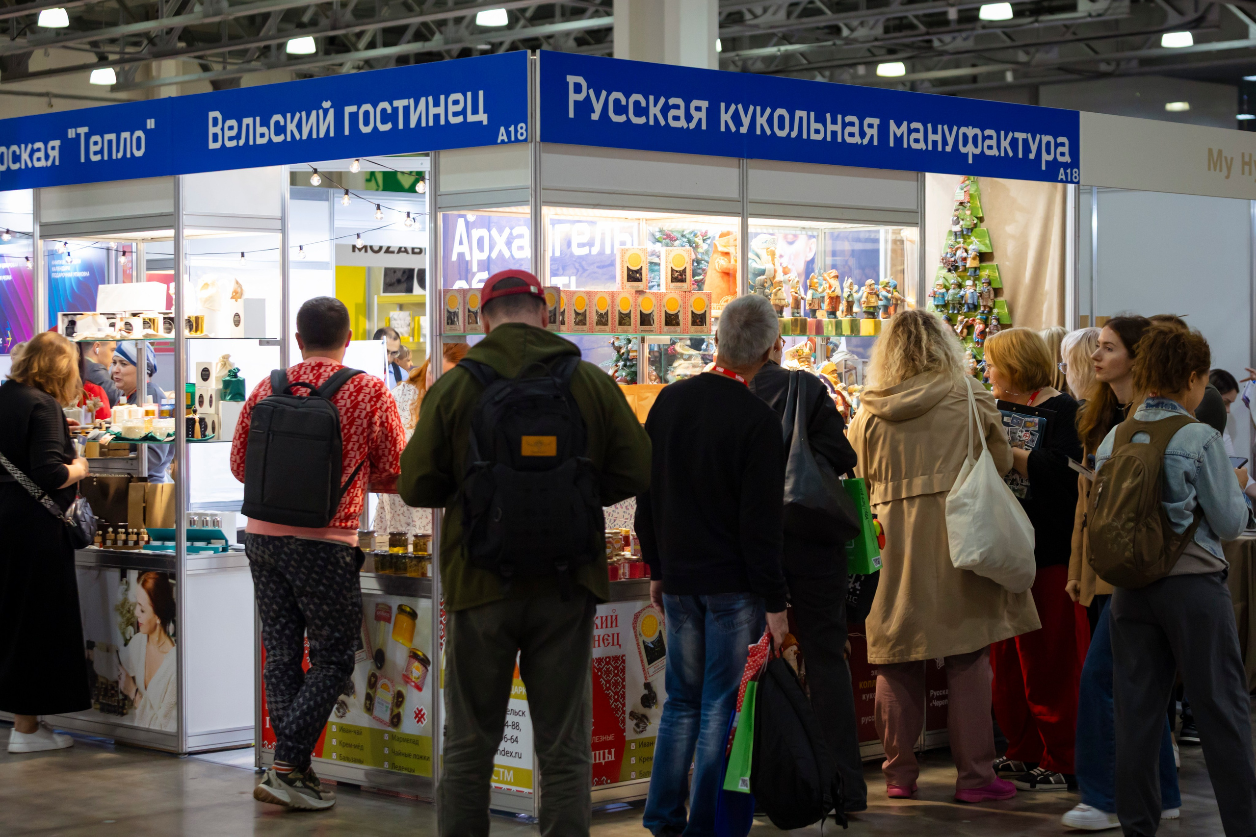 Выставка IPSA 2025. ExpoVisionRus (ЭкспоВижнРус)