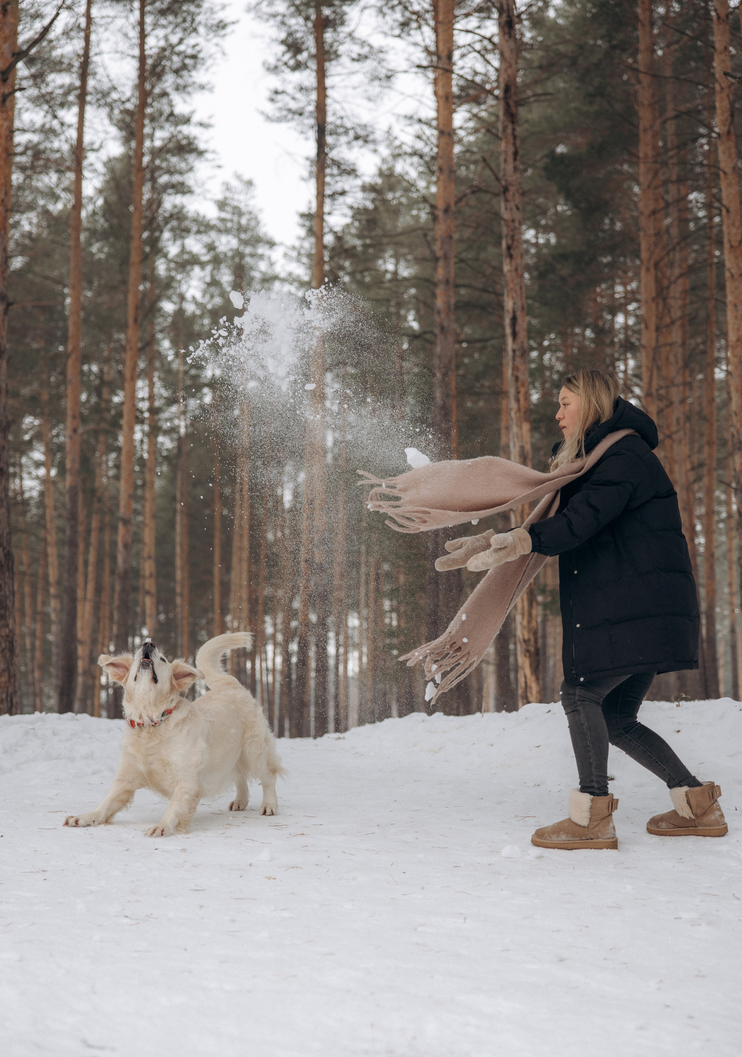 Зима. Лес. Татьяна и Делла. Фотограф анималист в Казани Алина Сулейманова. Фотограф животных