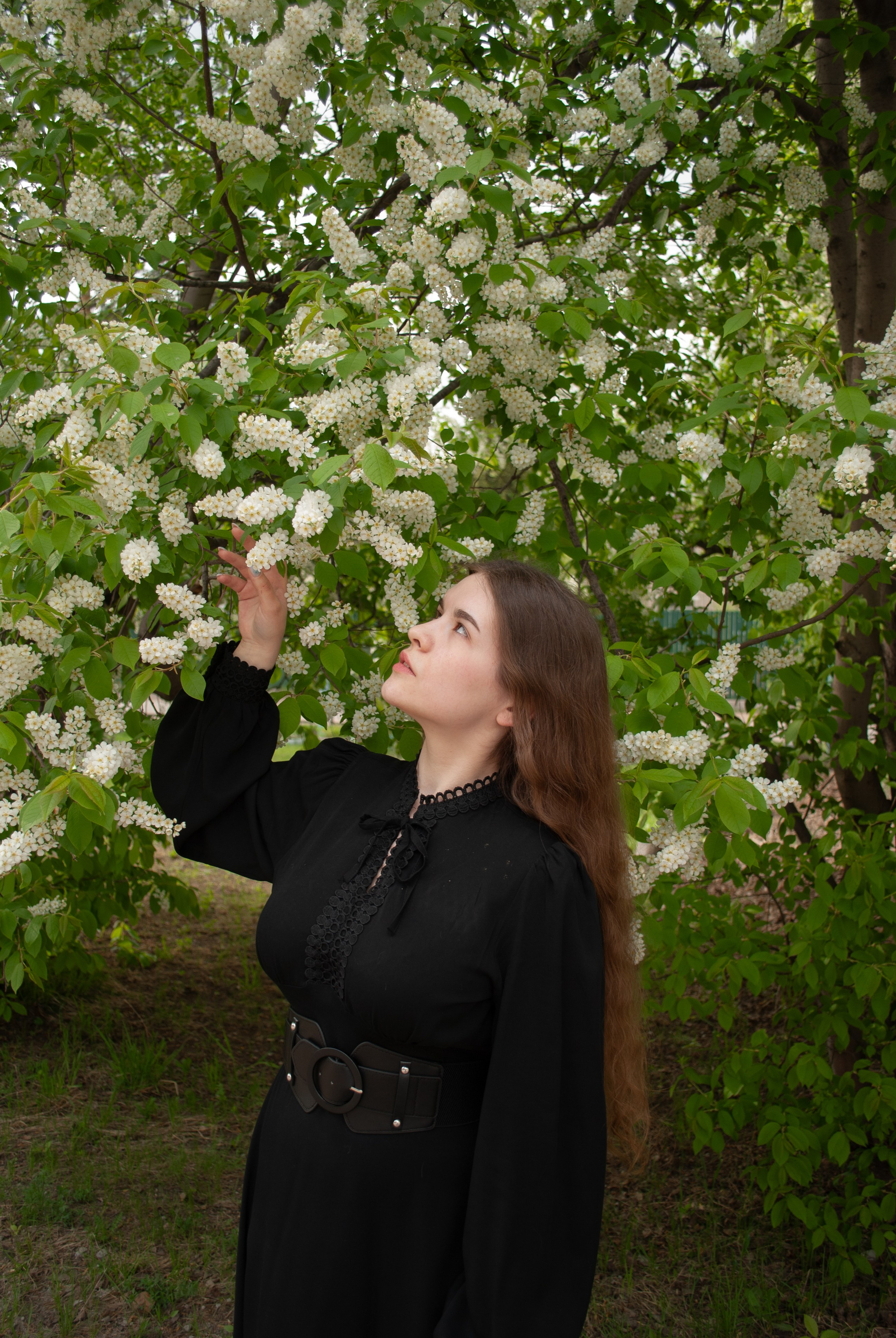 Цветение. Alina.Dvt — профессиональный фотограф|Красноярск