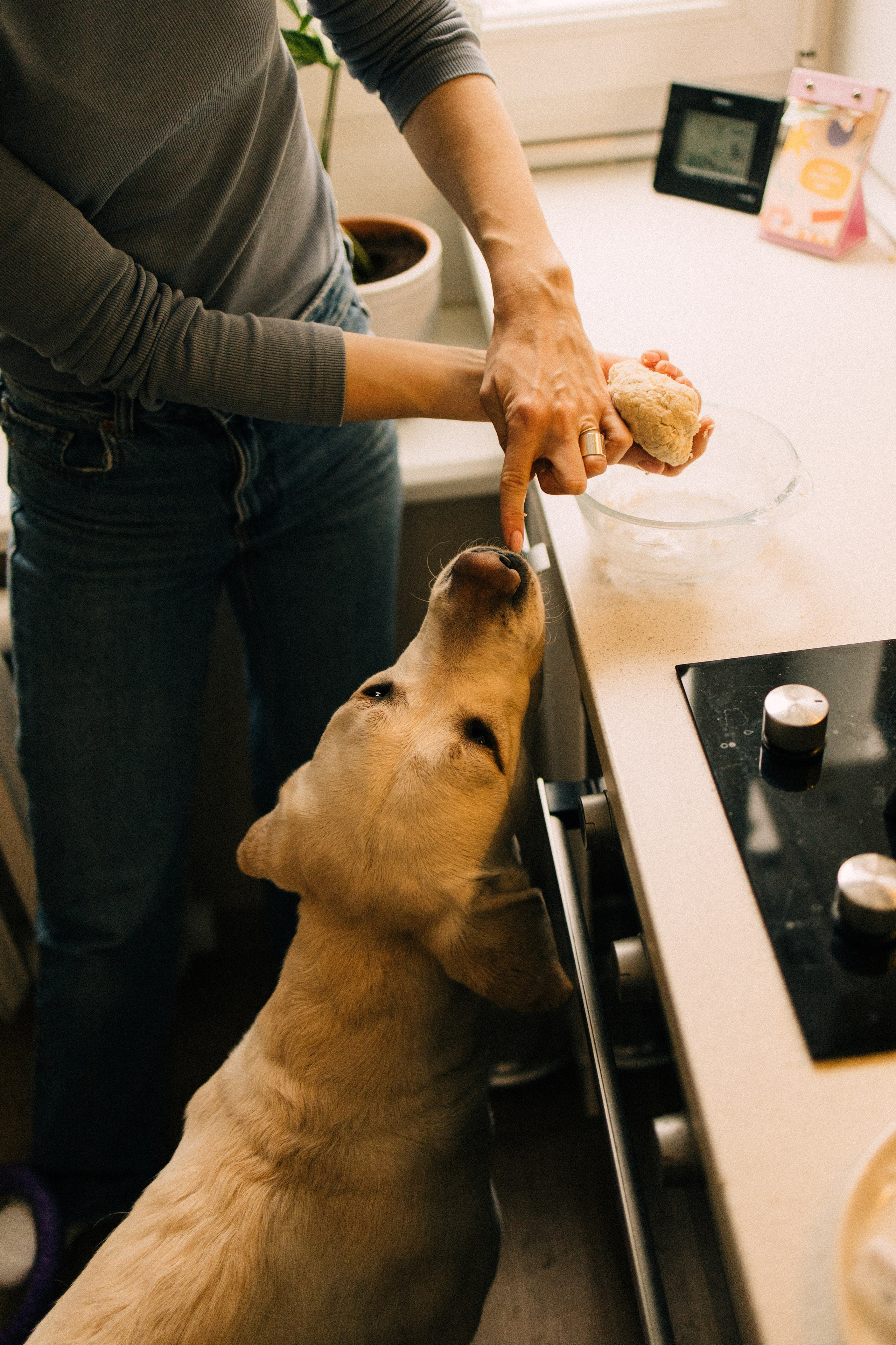Дома трое. Фотограф Настя Леонова