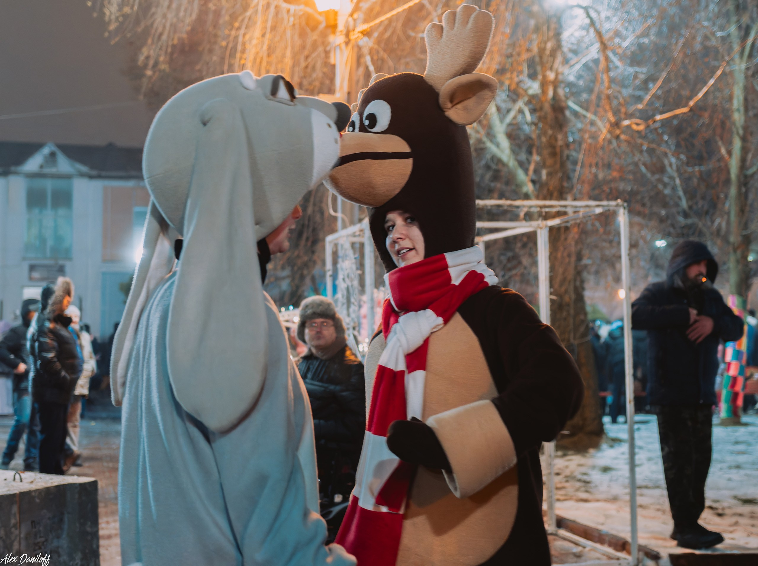 Открытие новогоднего городка. Новости Мурома. Муром-Инфо